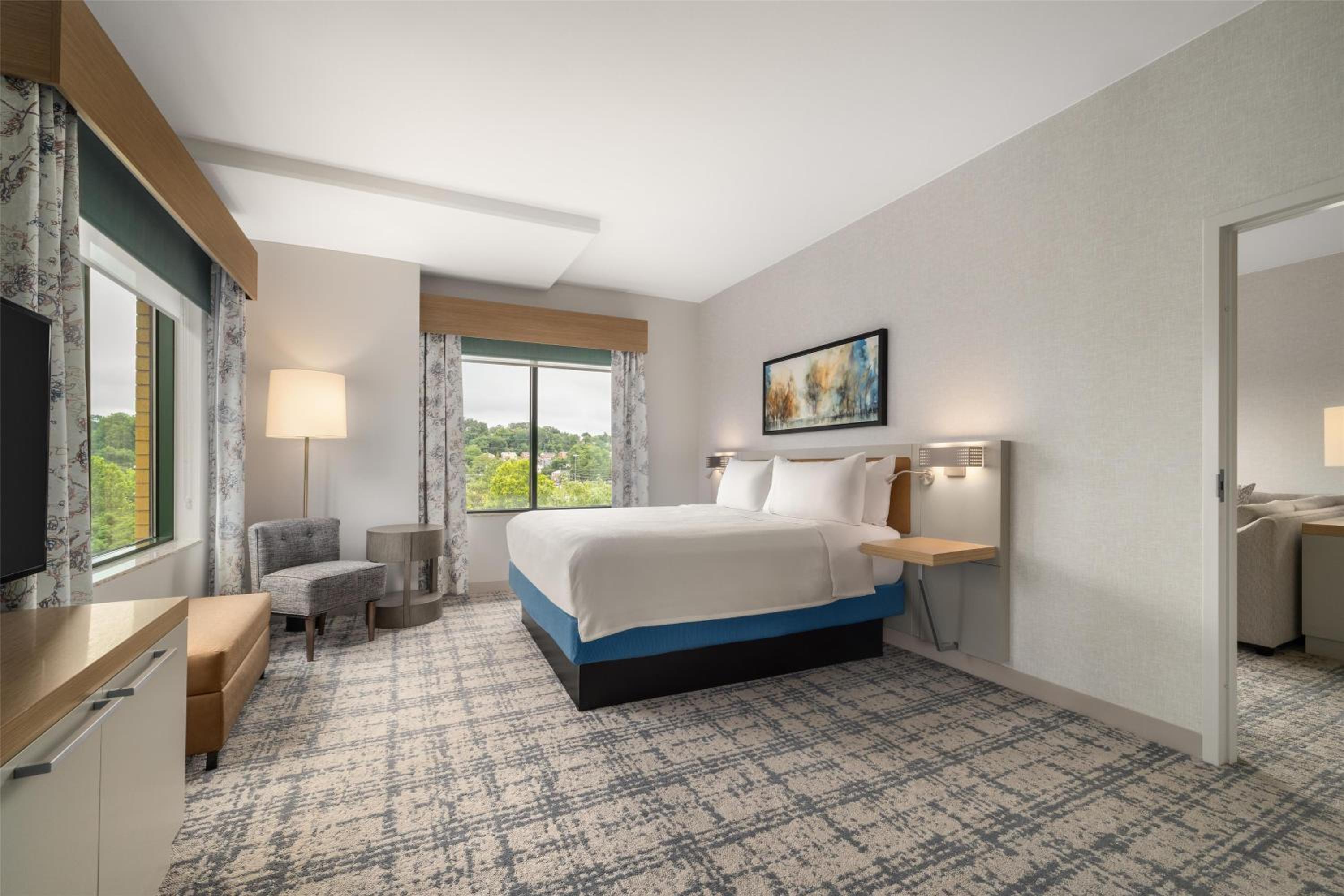 One-Bedroom King Suite - Photo 5
