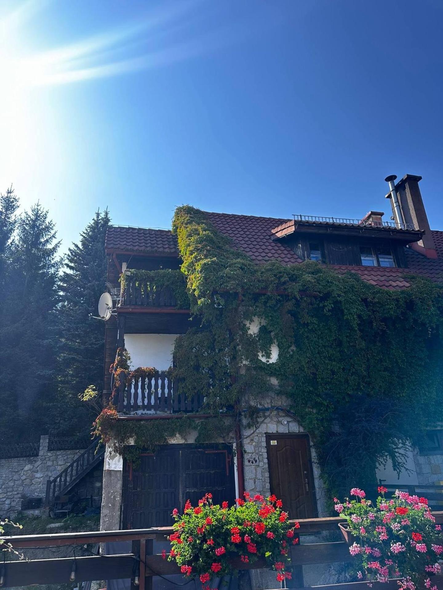 Chalet photo 1