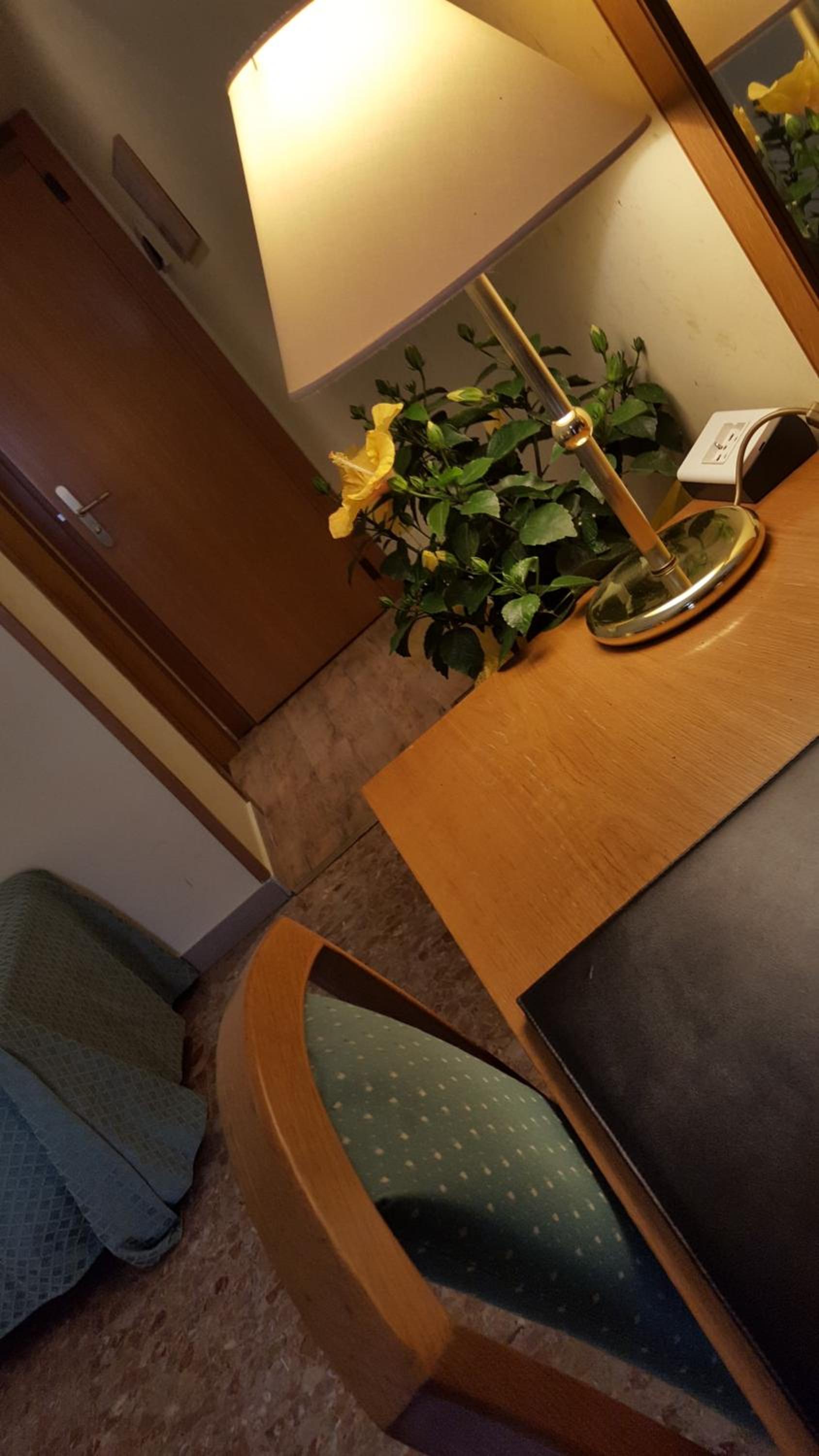 Double or Twin Room - Photo 10