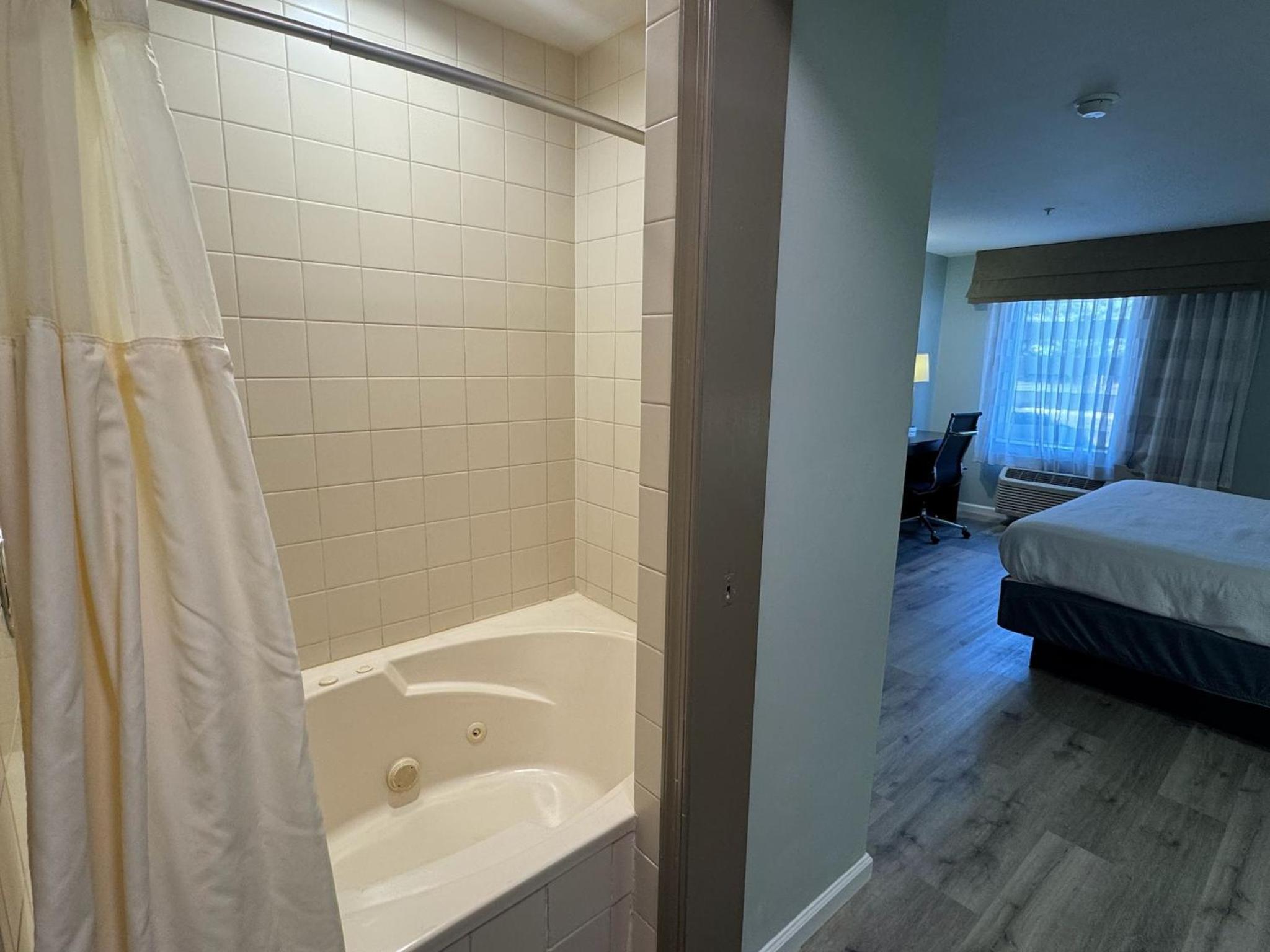 Deluxe King Suite with Jetted Tub - Non-Smoking - Photo 3
