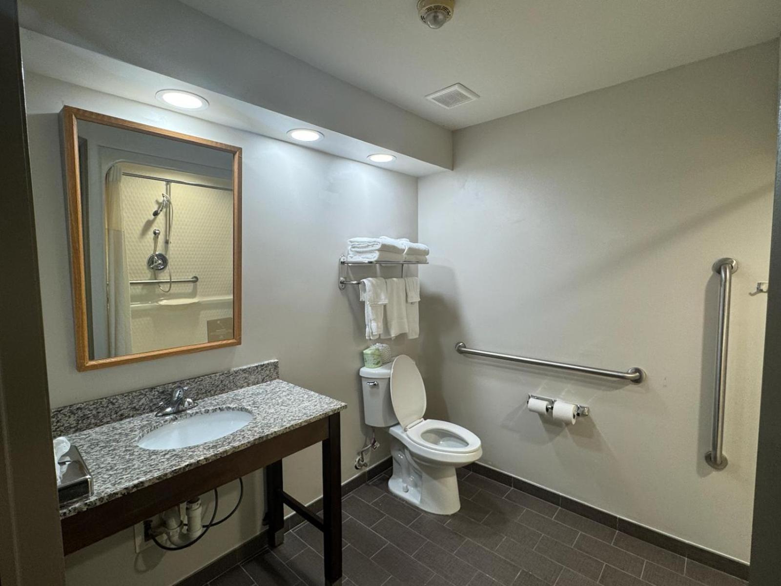 King Suite with Mobility Access and Roll-In Shower, Non-Smoking - Photo 5