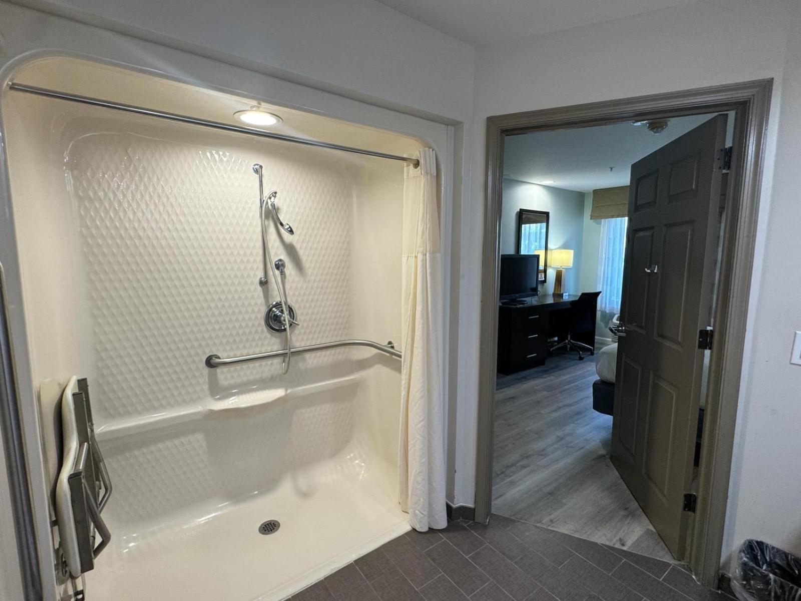 King Suite with Mobility Access and Roll-In Shower, Non-Smoking - Photo 3
