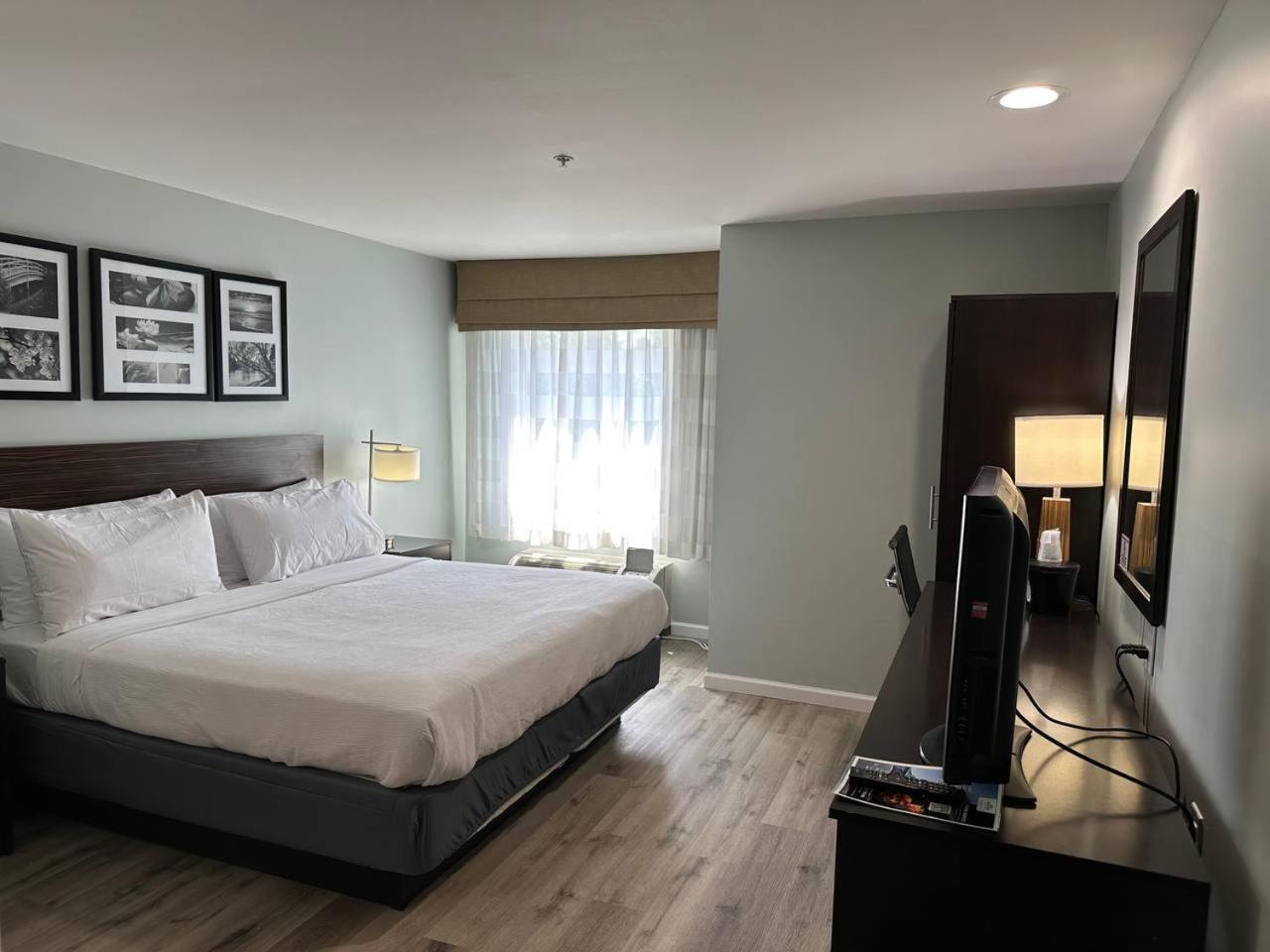 King Room - Non-Smoking - Photo 4