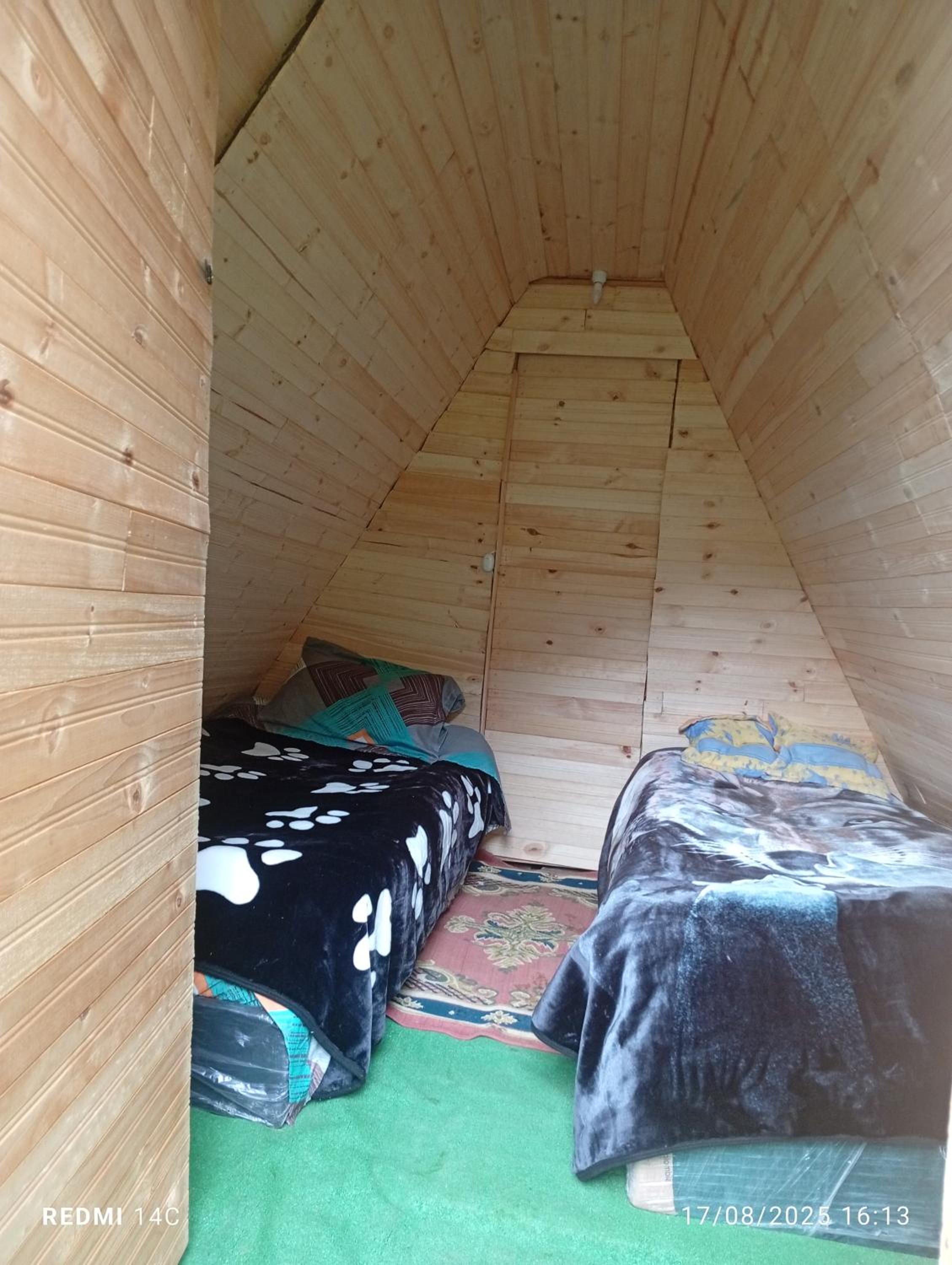 Twin Room photo 1