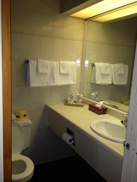 Double Room with Two Double Beds photo 3