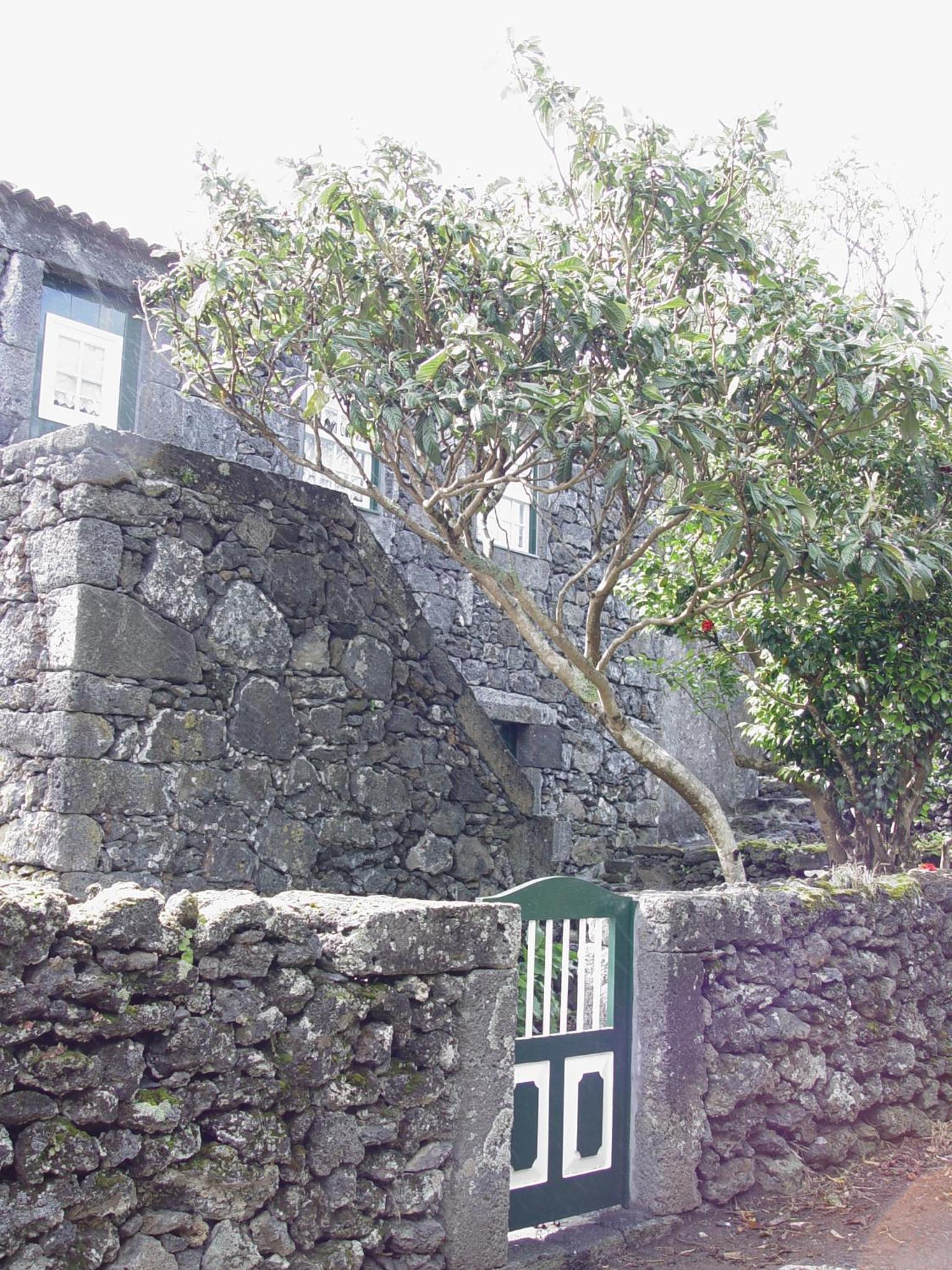 One-Bedroom House photo 2