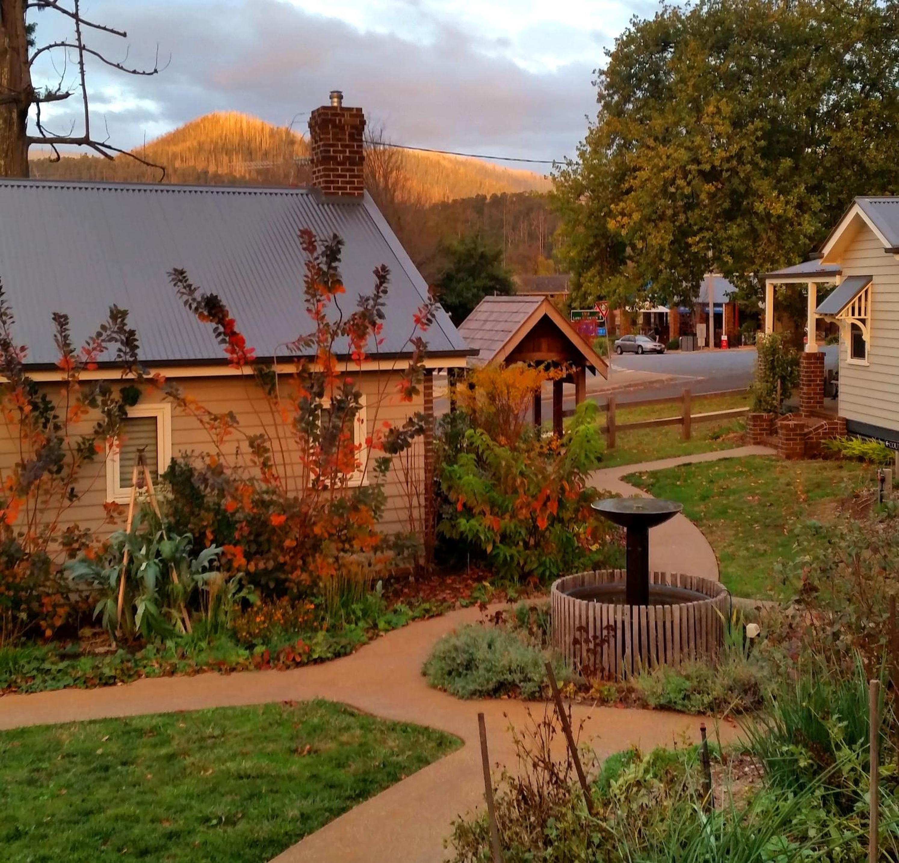 One-Bedroom Cottage - Harvest photo 3