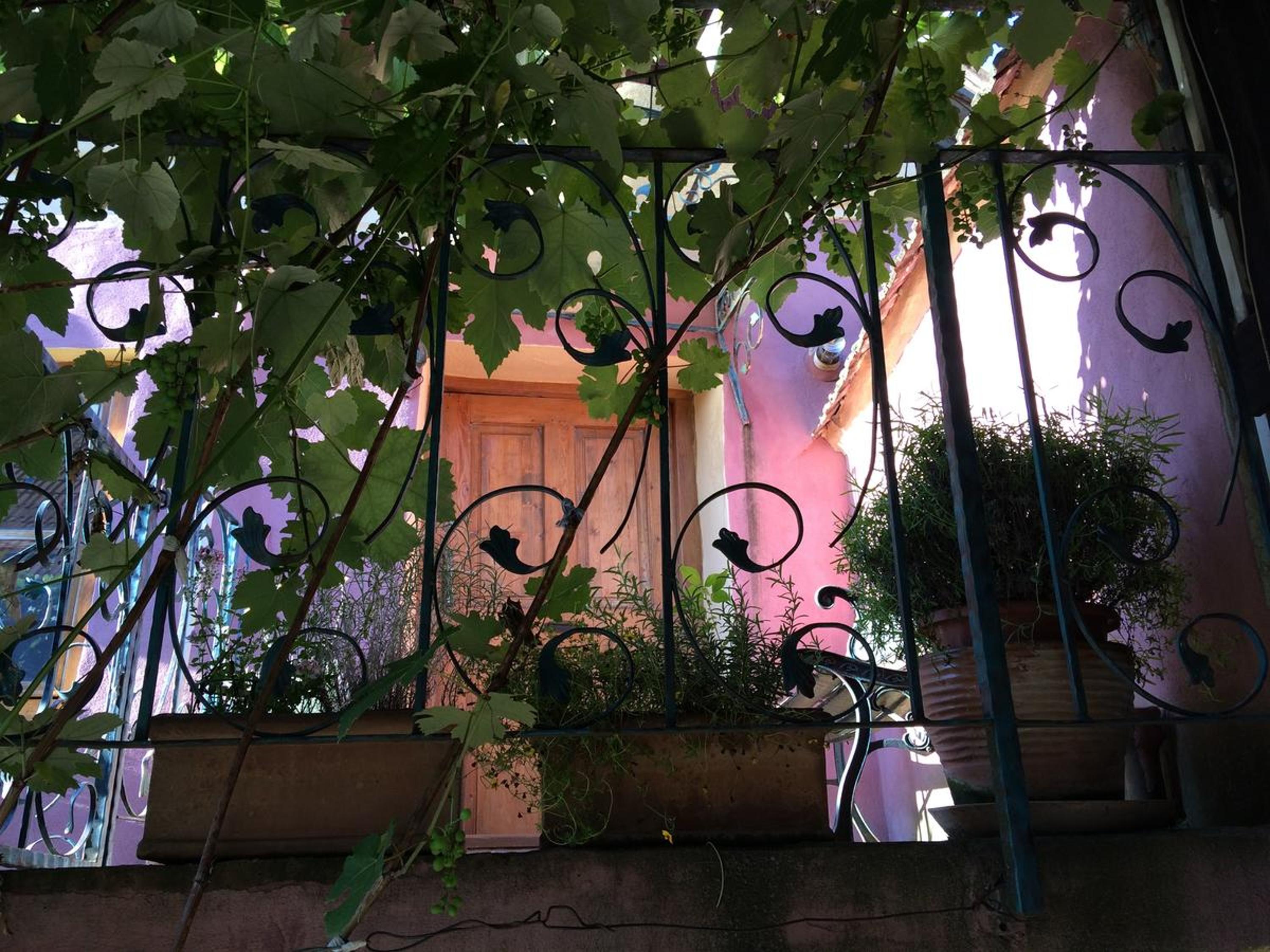 Apartment with Terrace - Photo 4