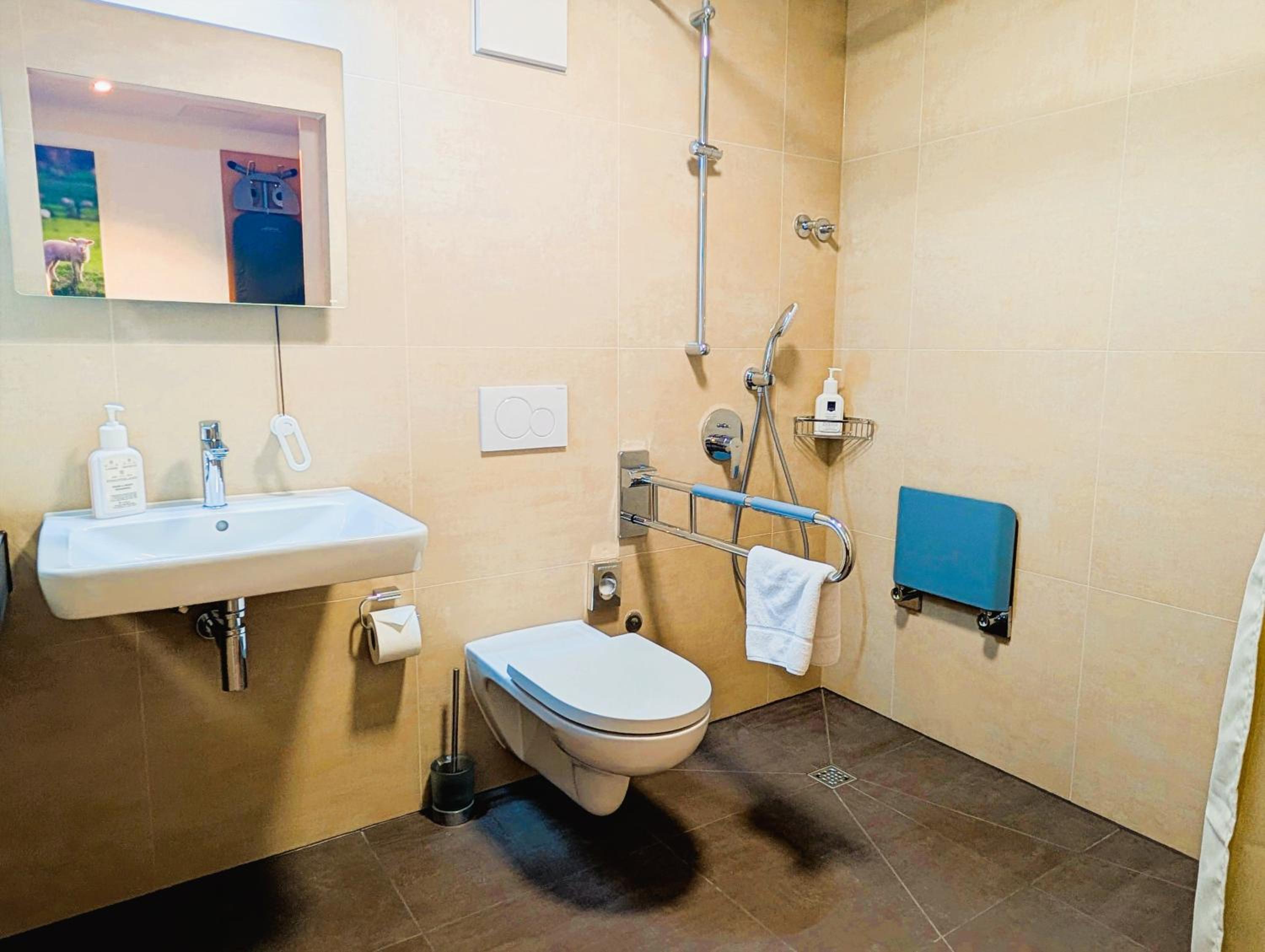Double Room - Disability Access photo 2