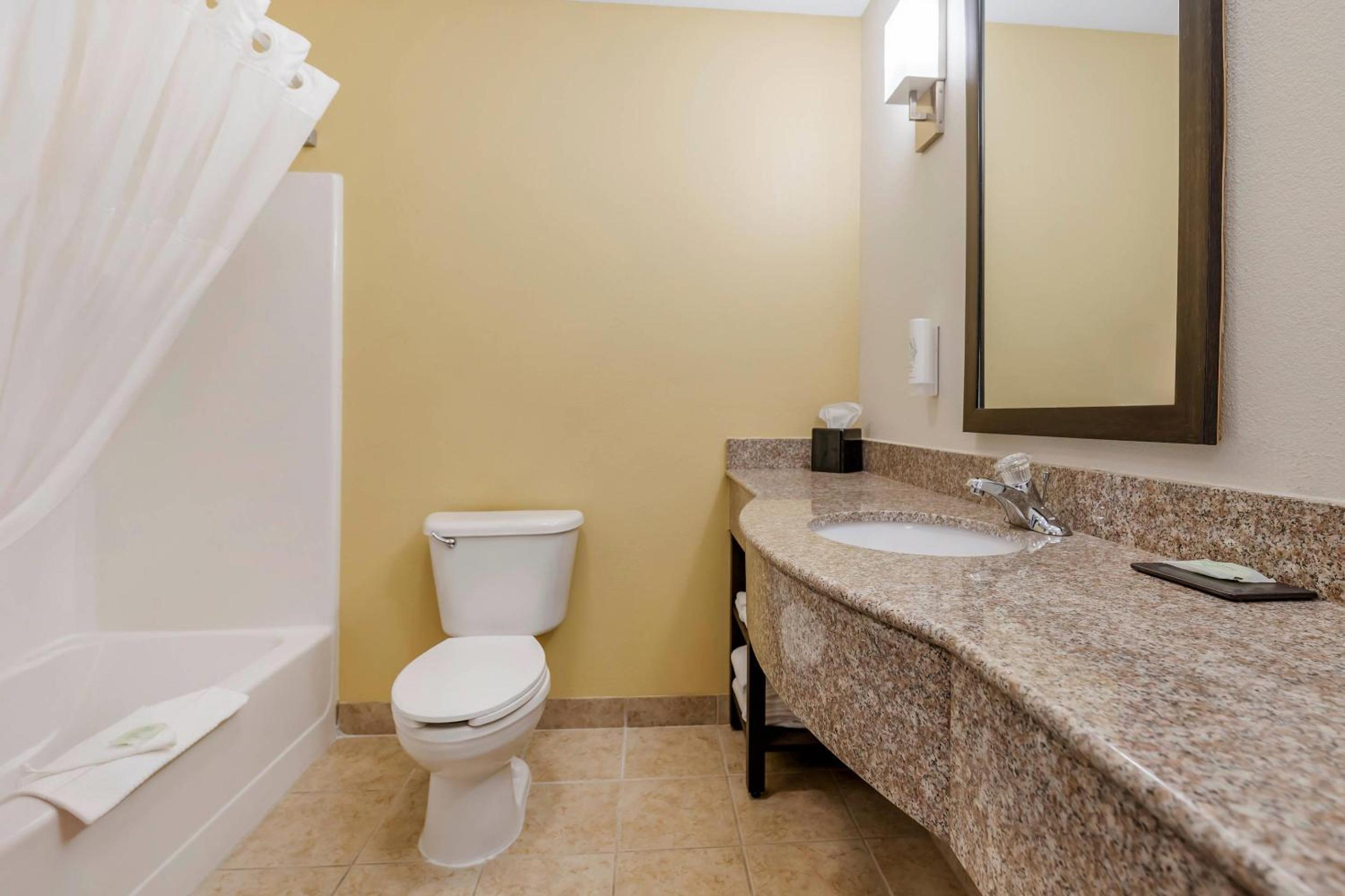 King Suite - Accessible/Non-Smoking photo 1
