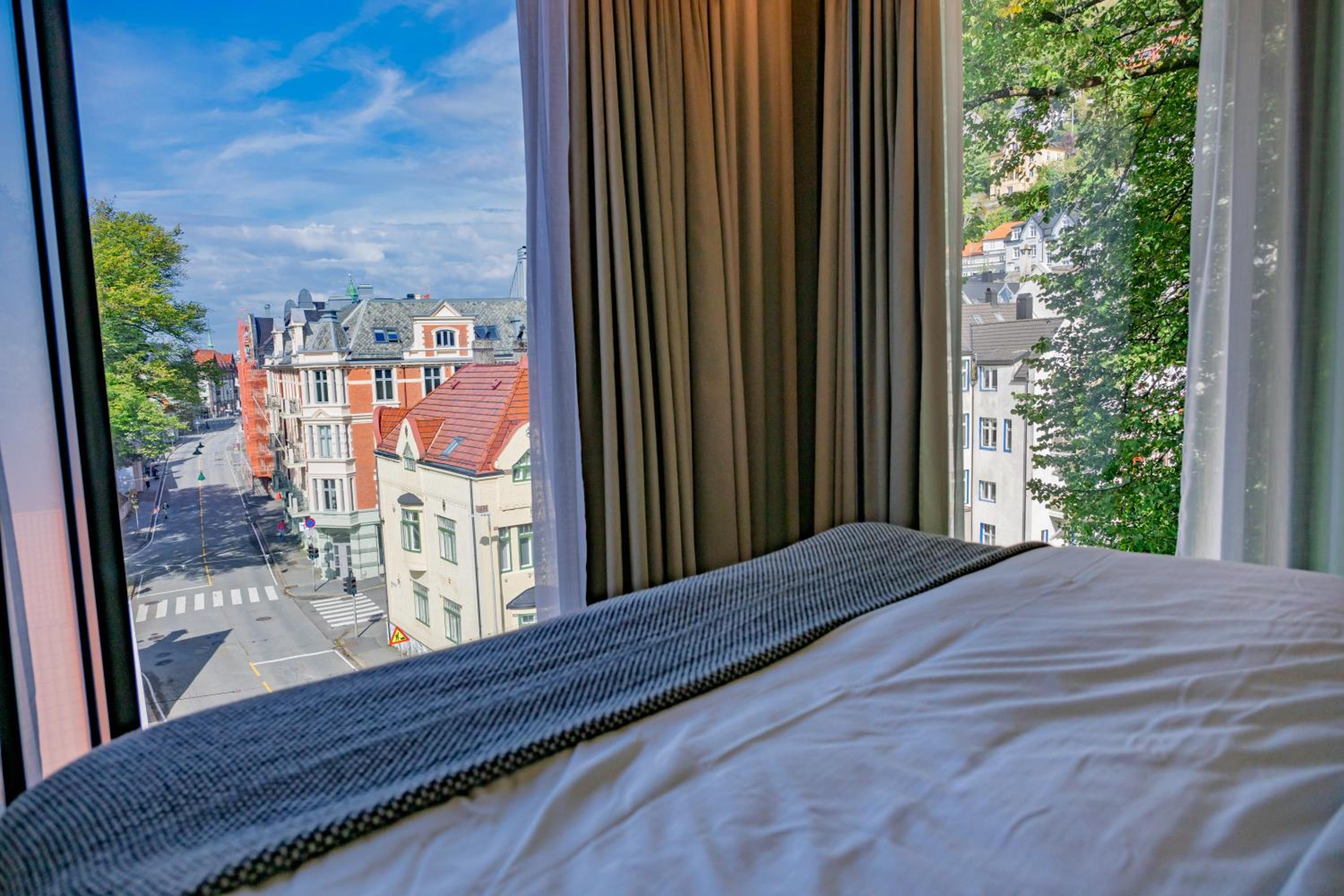 Suite - Photo 1