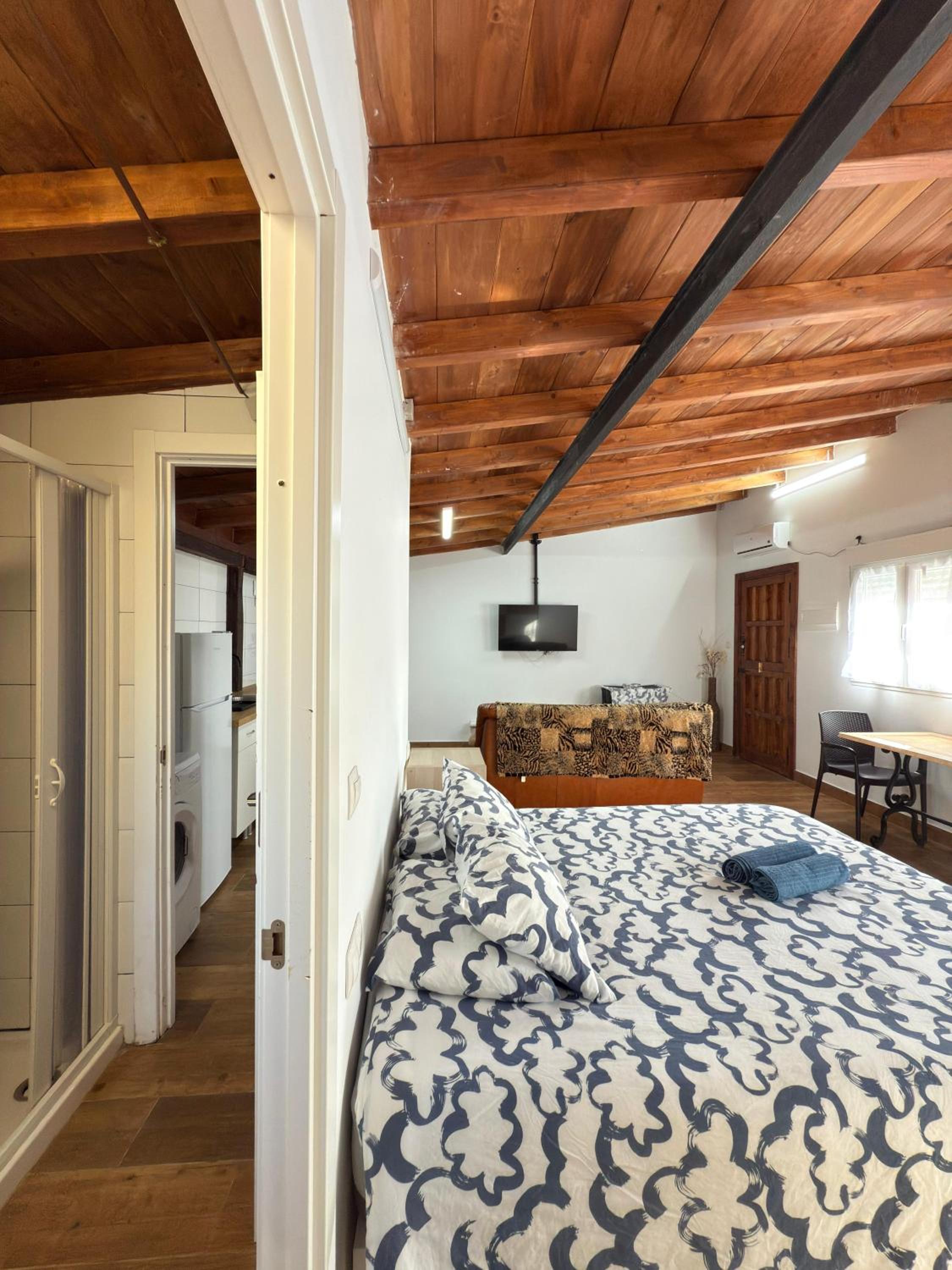 One-Bedroom Apartment with Terrace