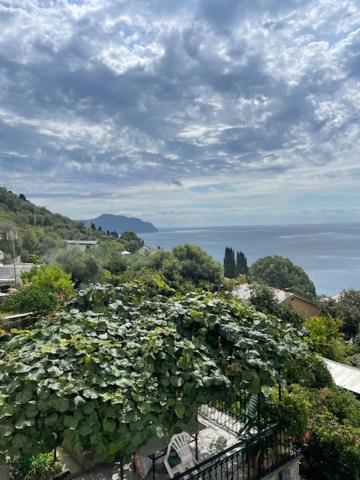 Deluxe One-Bedroom Apartment with Ocean View