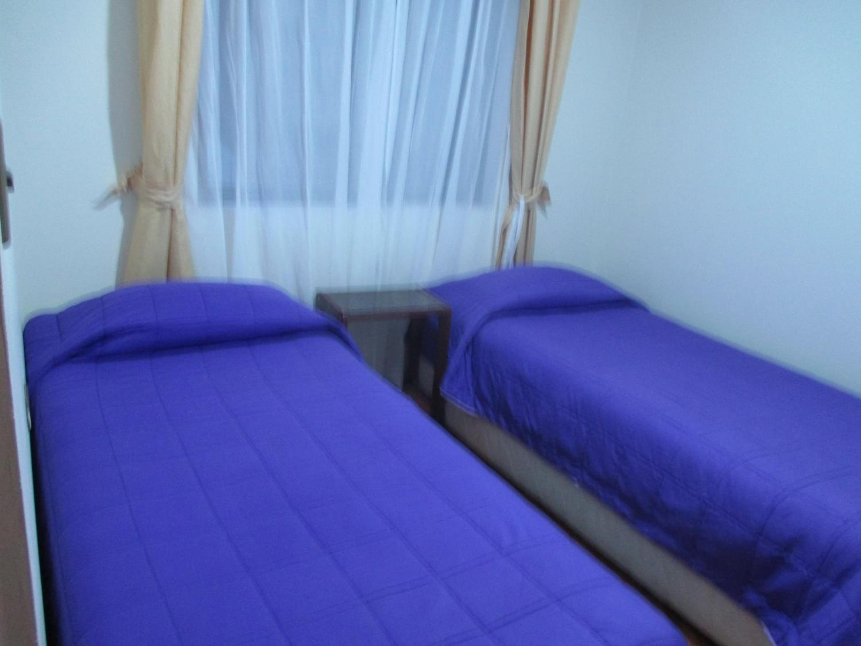 Double Room with Two Single Beds photo 3