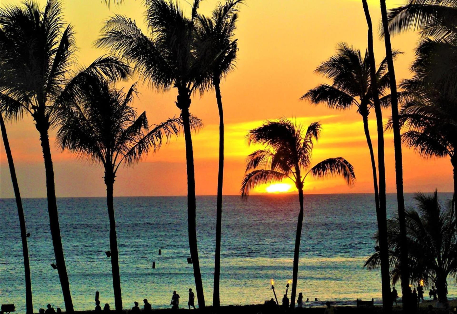 KBM Resorts FREE CAR The Whaler Ocean view 1-Bedroom, Recently Updated & Gorgeous views WH1-1211