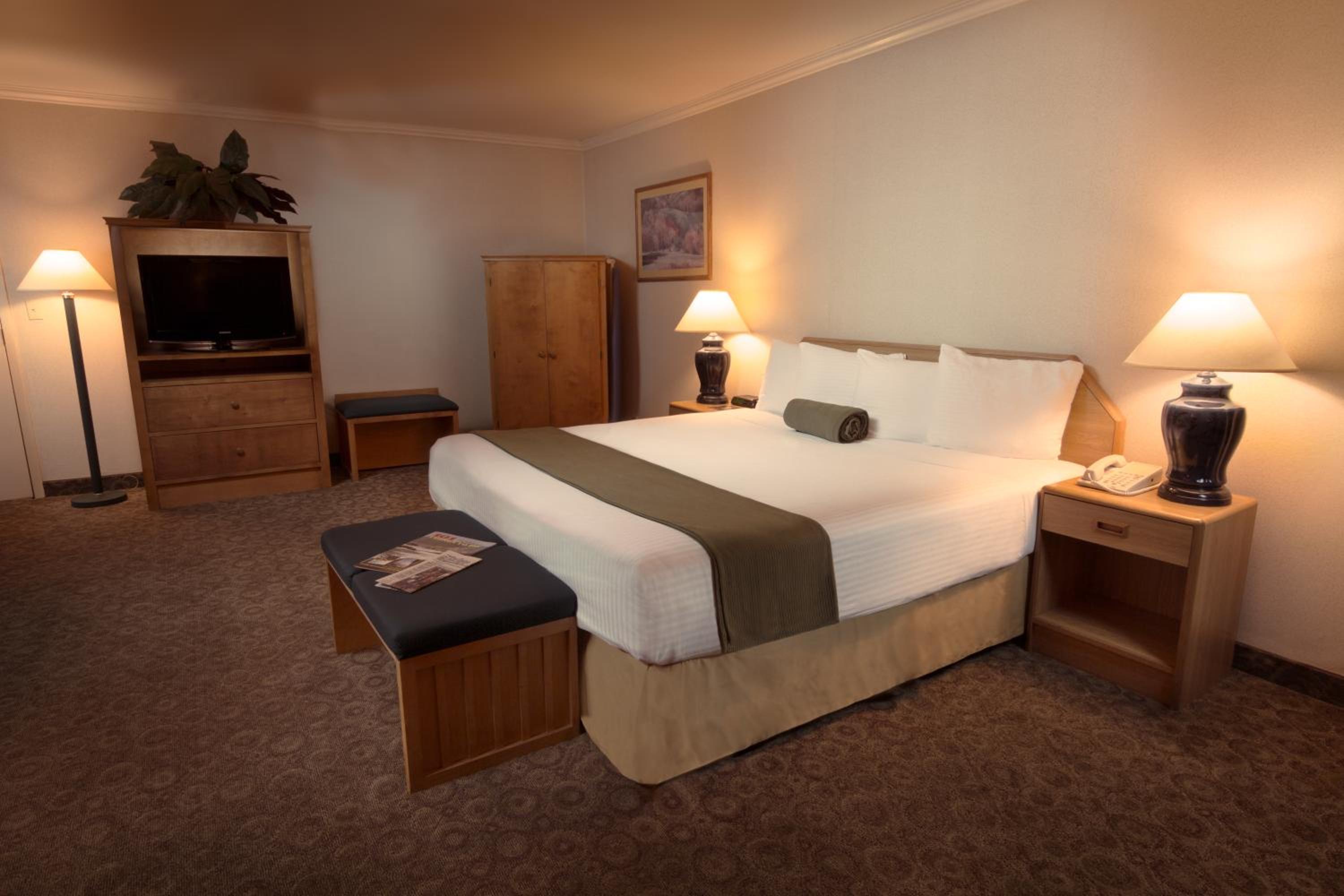 The Redwood King Suite - Photo 1