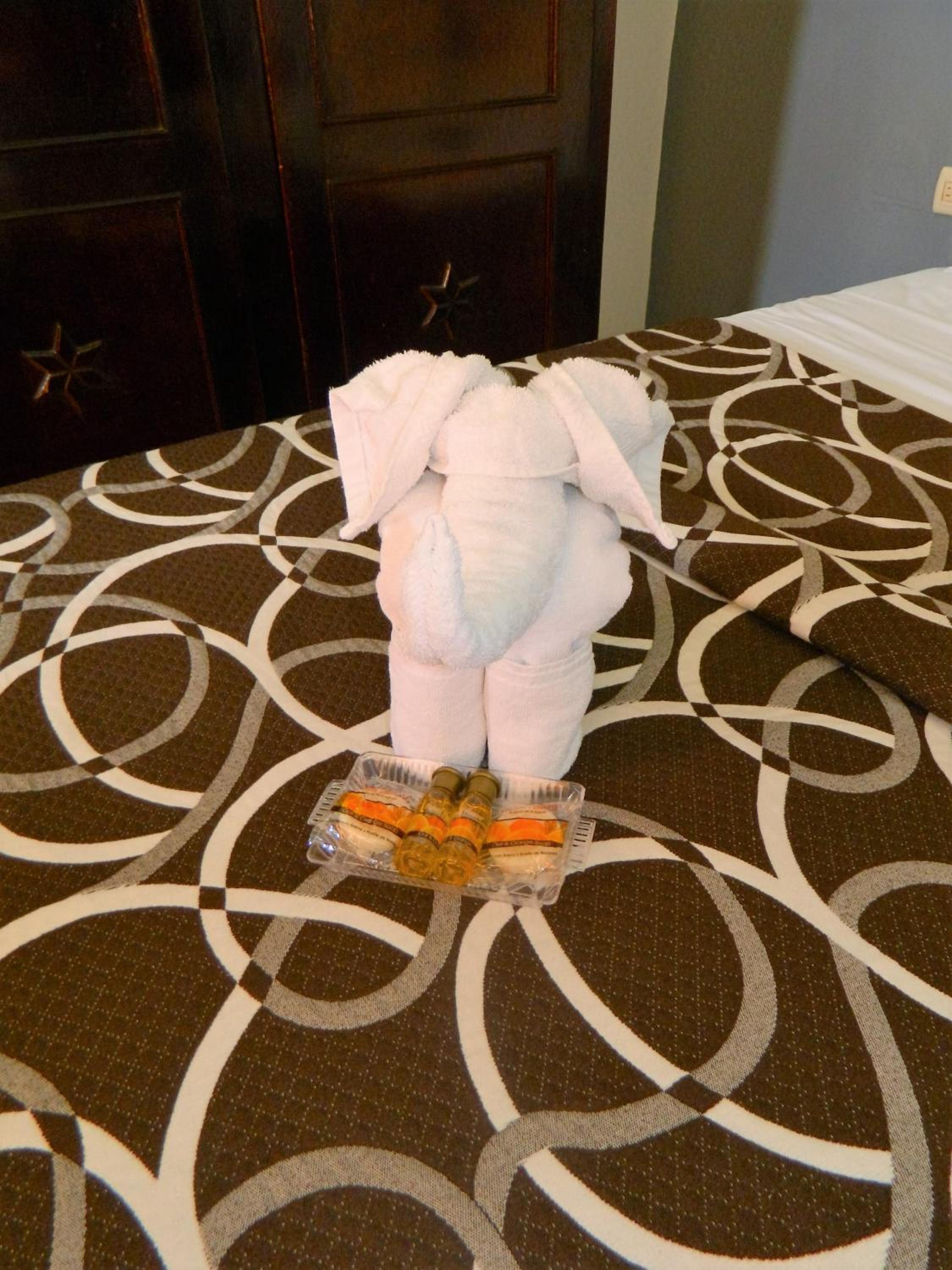 Junior Suite photo 3