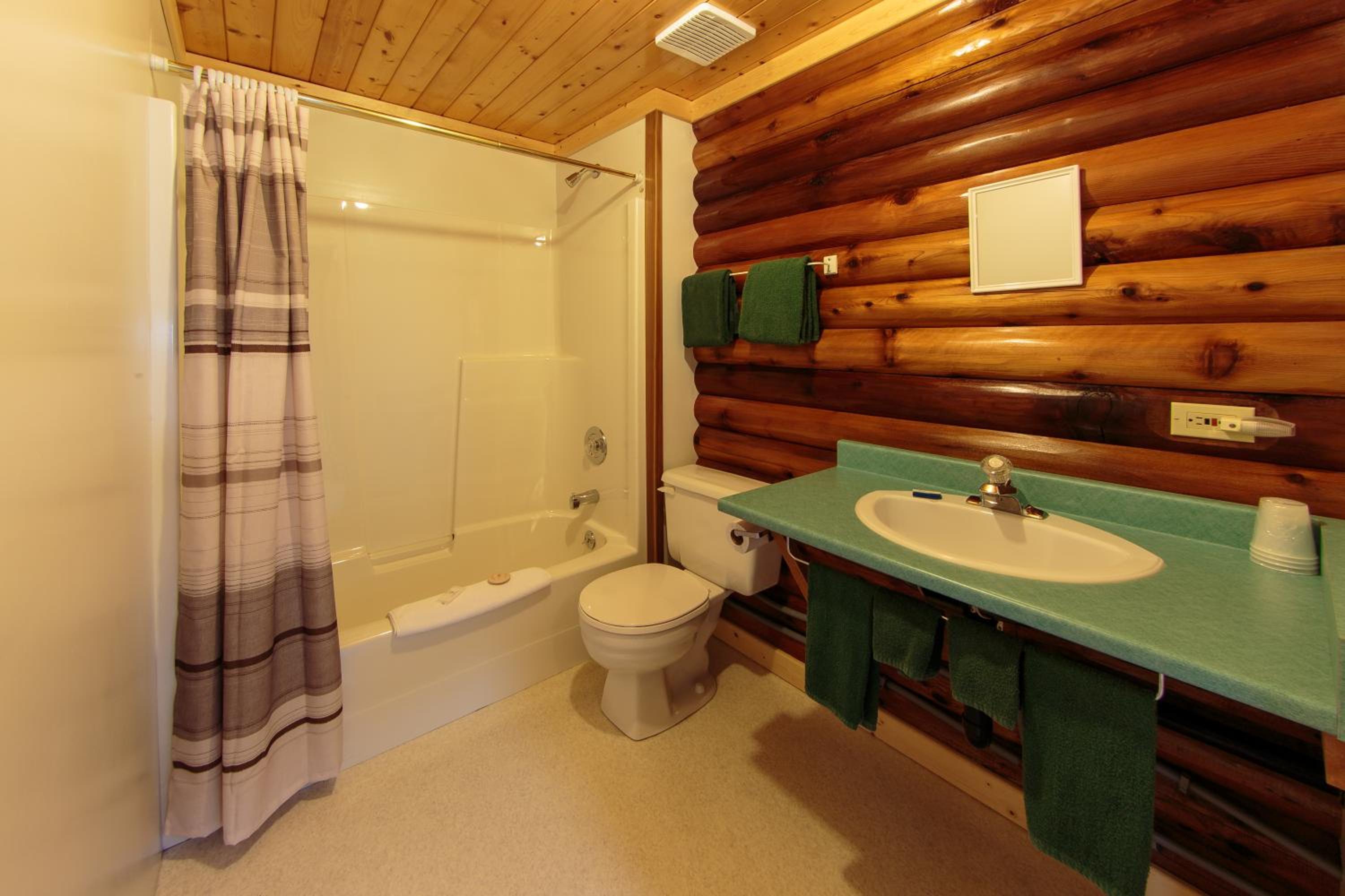 One-Bedroom Chalet photo 2