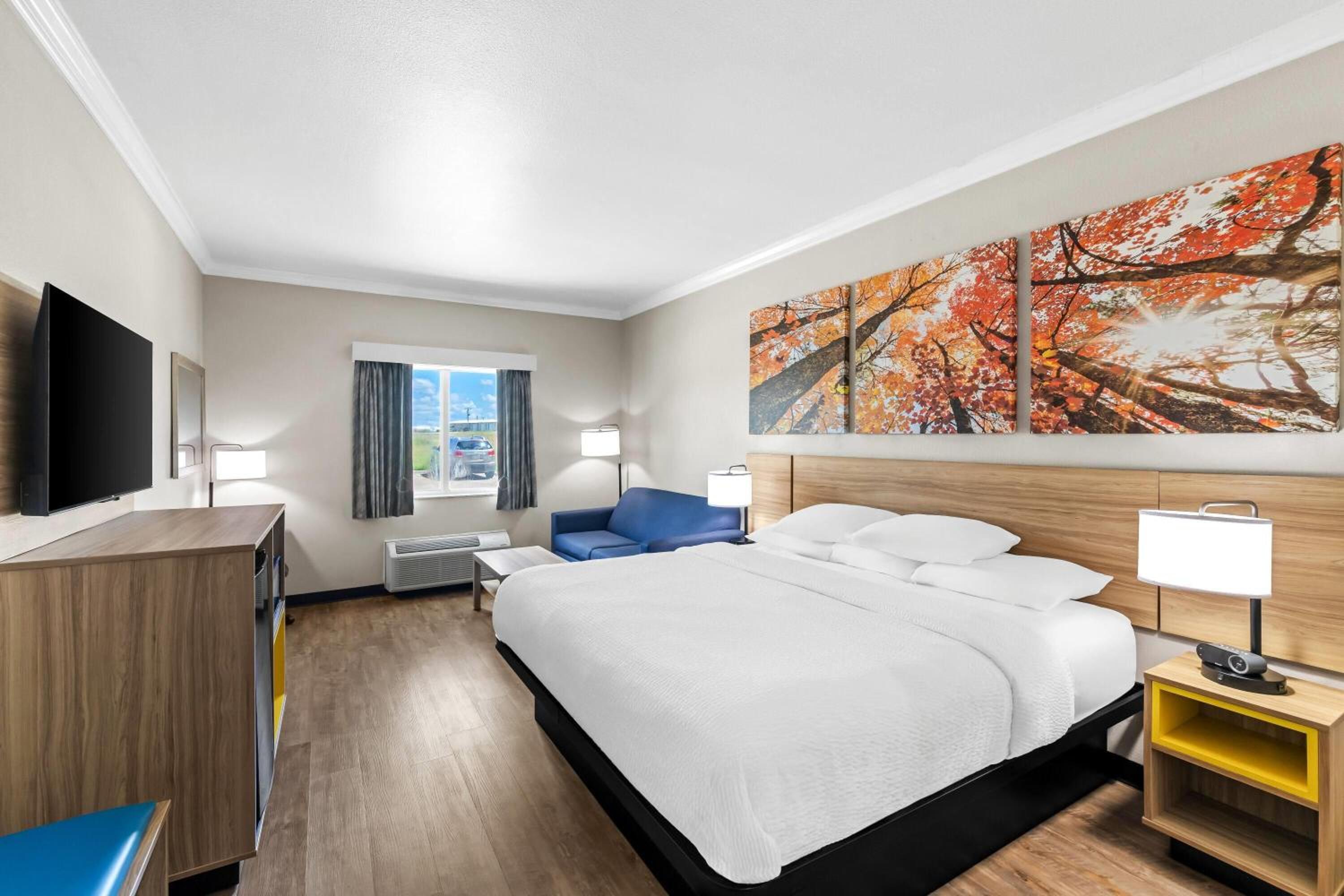 Deluxe King Room - Disability Access - Non-Smoking - Photo 1