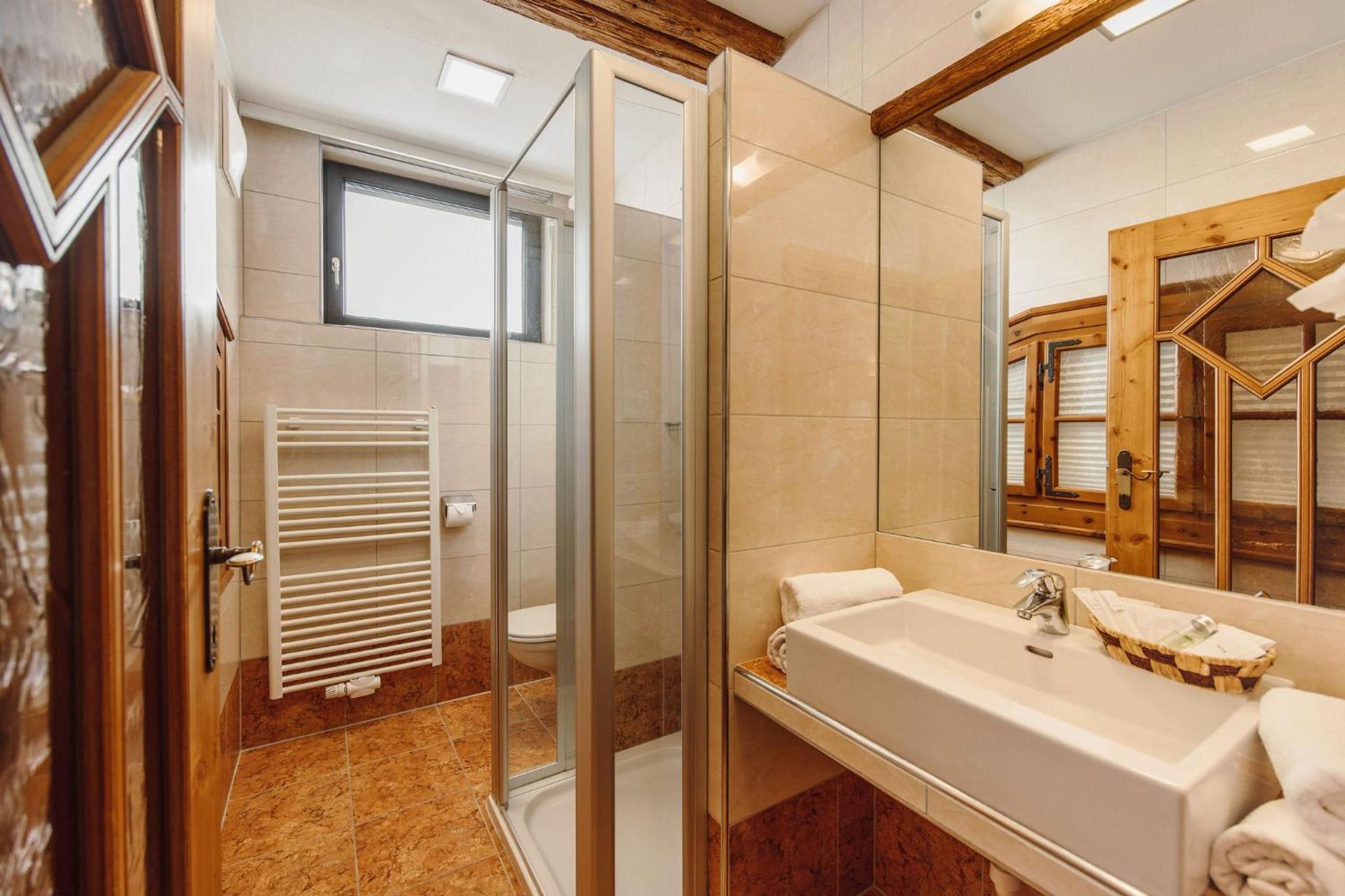 Double Room with Mountain View photo 3