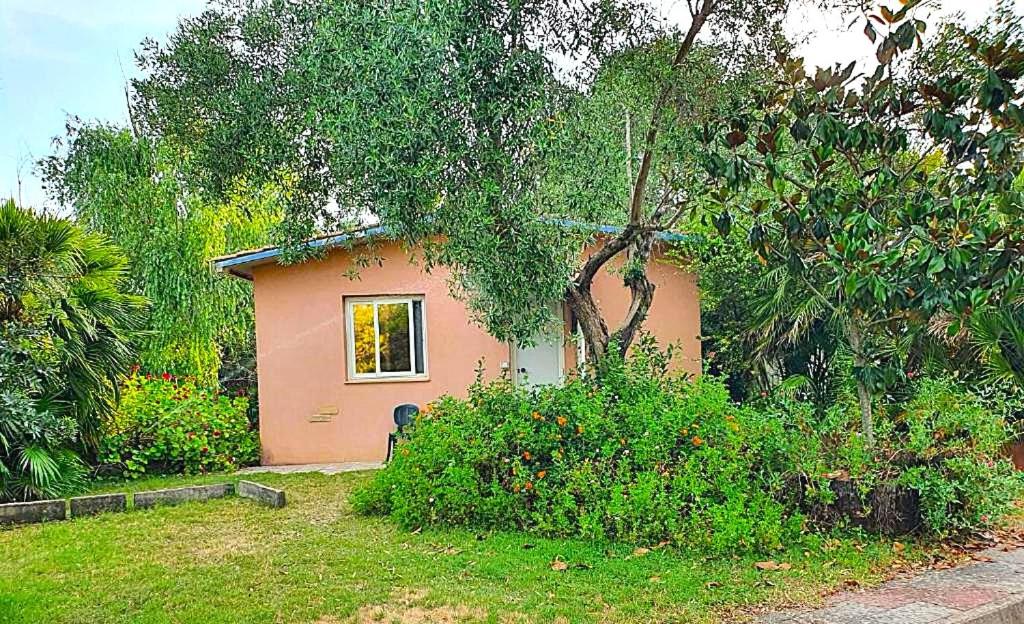 Bungalow with Garden View photo 1