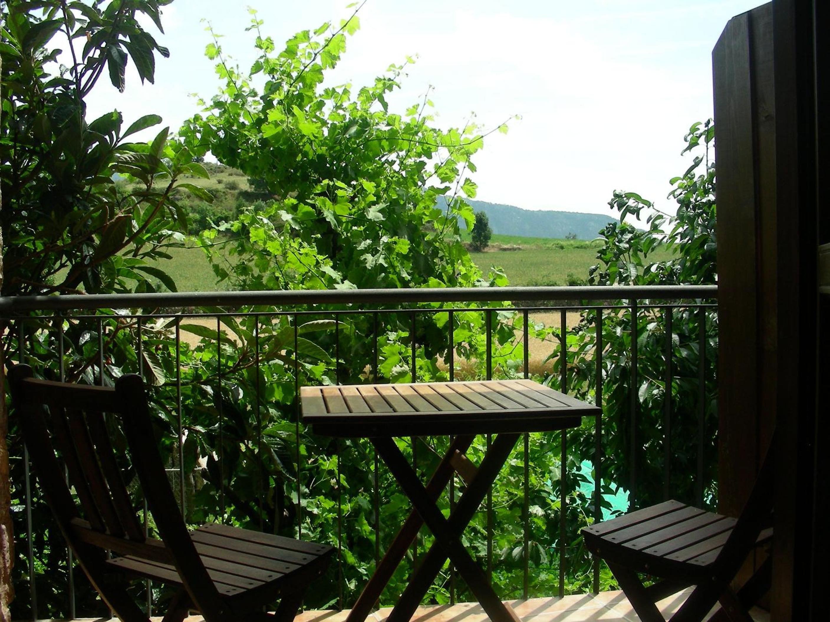 Apartment with Terrace photo 2
