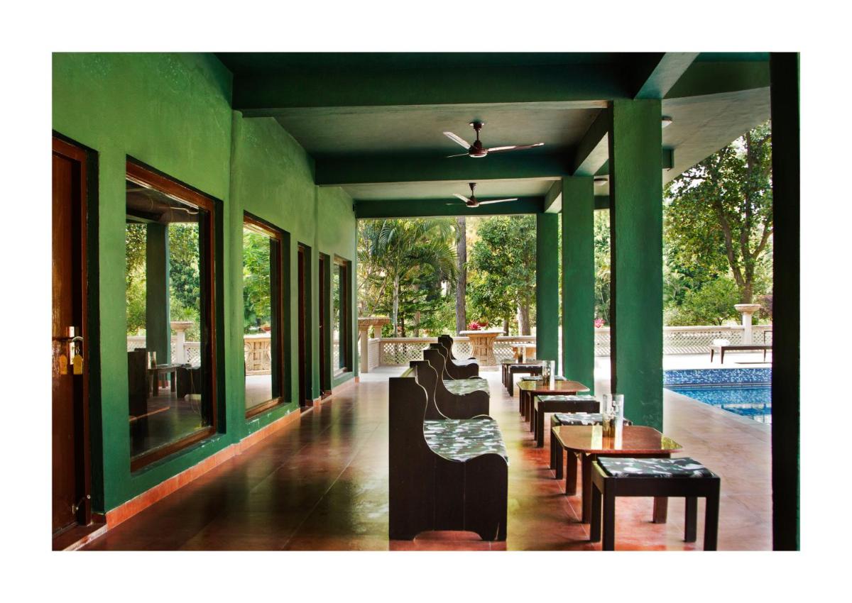 Tiger Den Suite