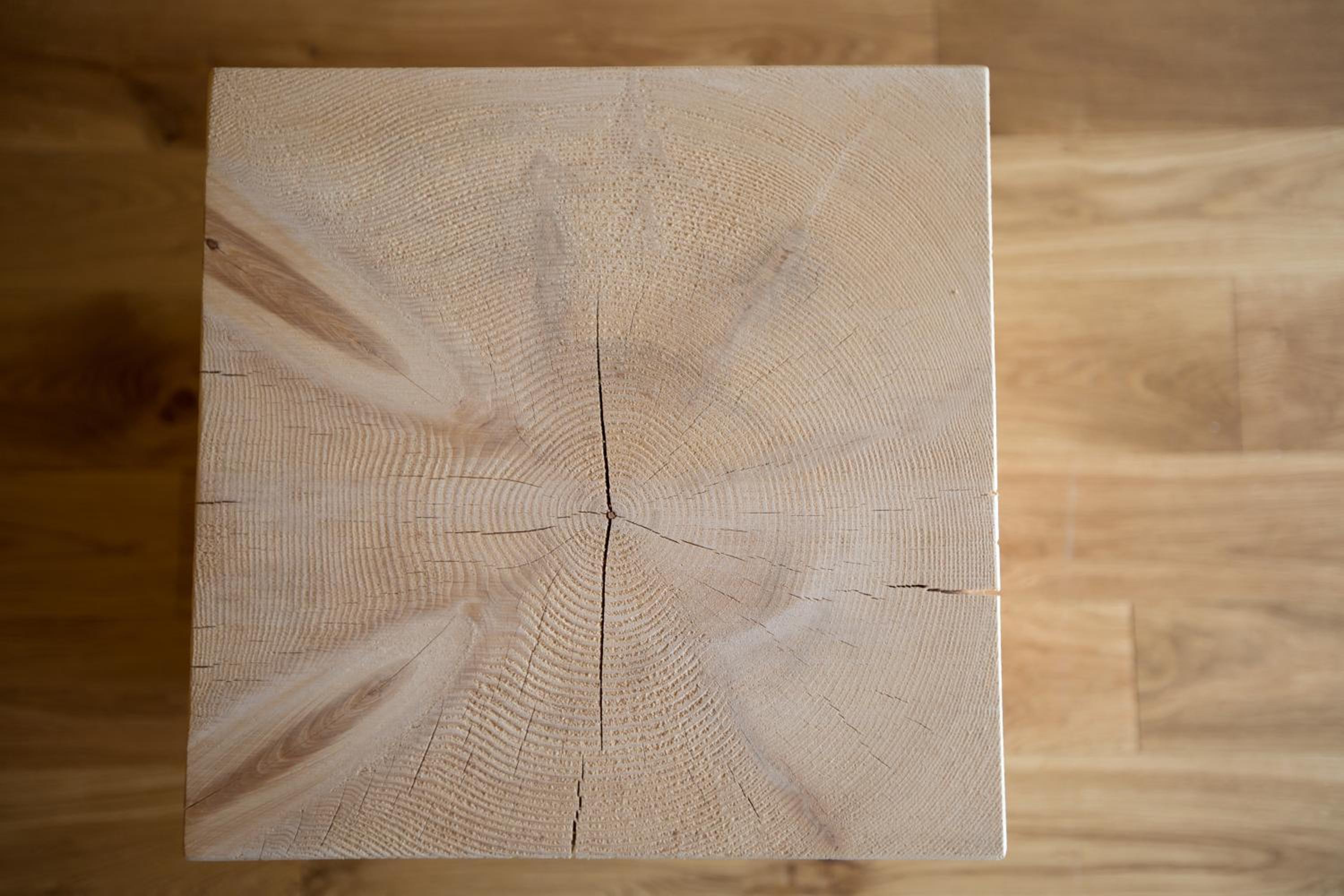 Studio with Mountain View photo 3