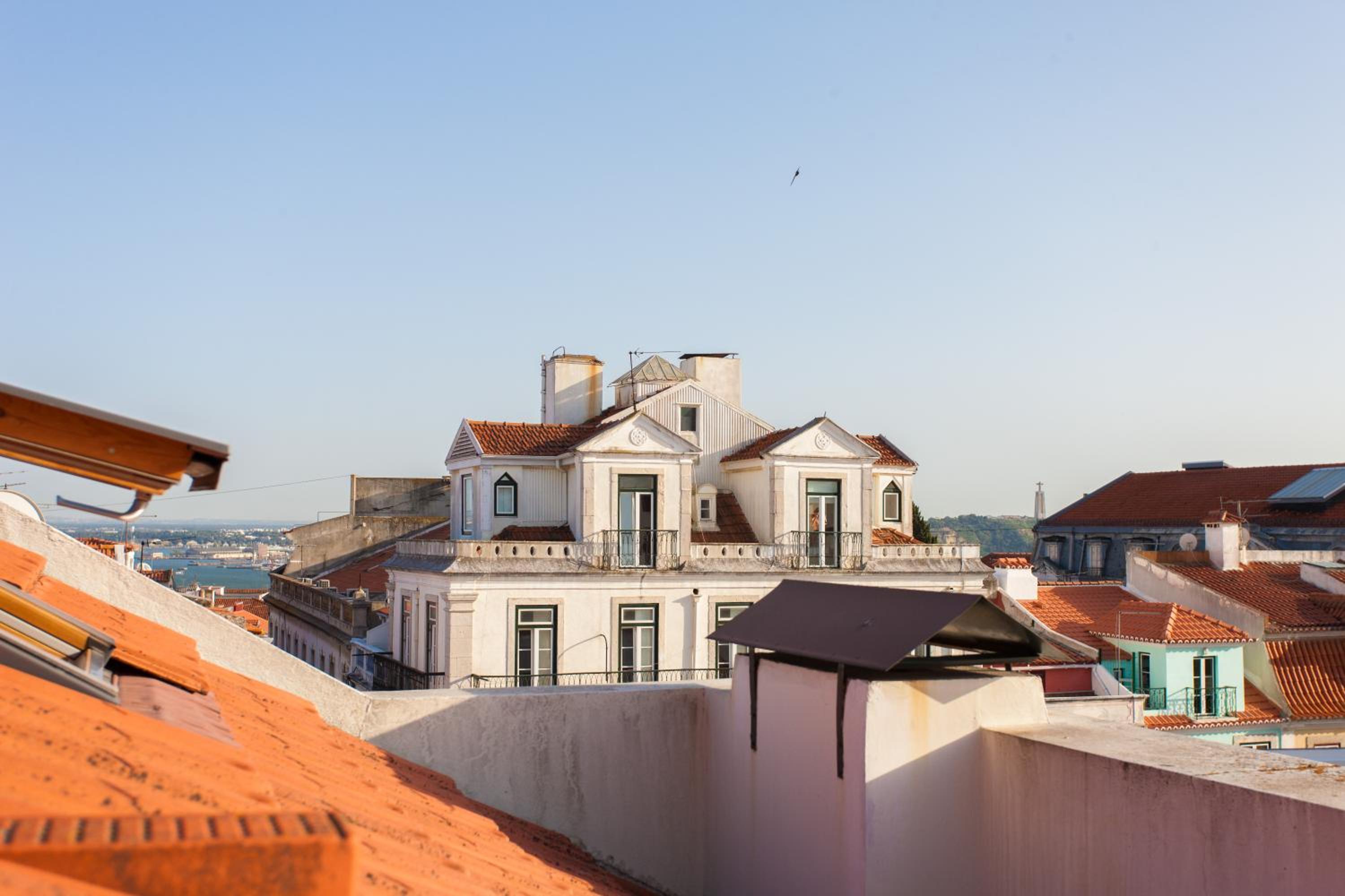 Apartment with Terrace - Photo 3