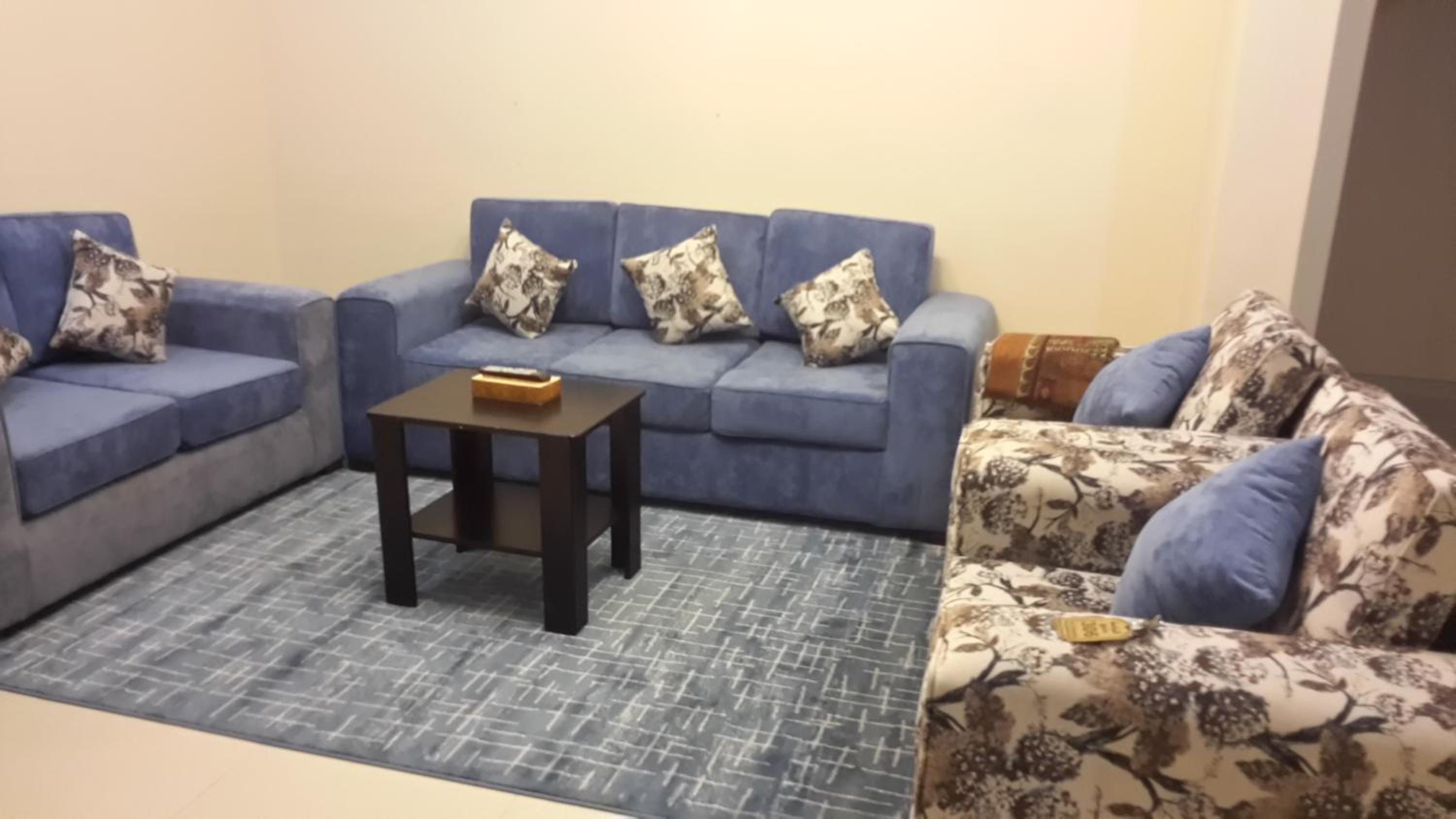 One-Bedroom Apartment photo 2