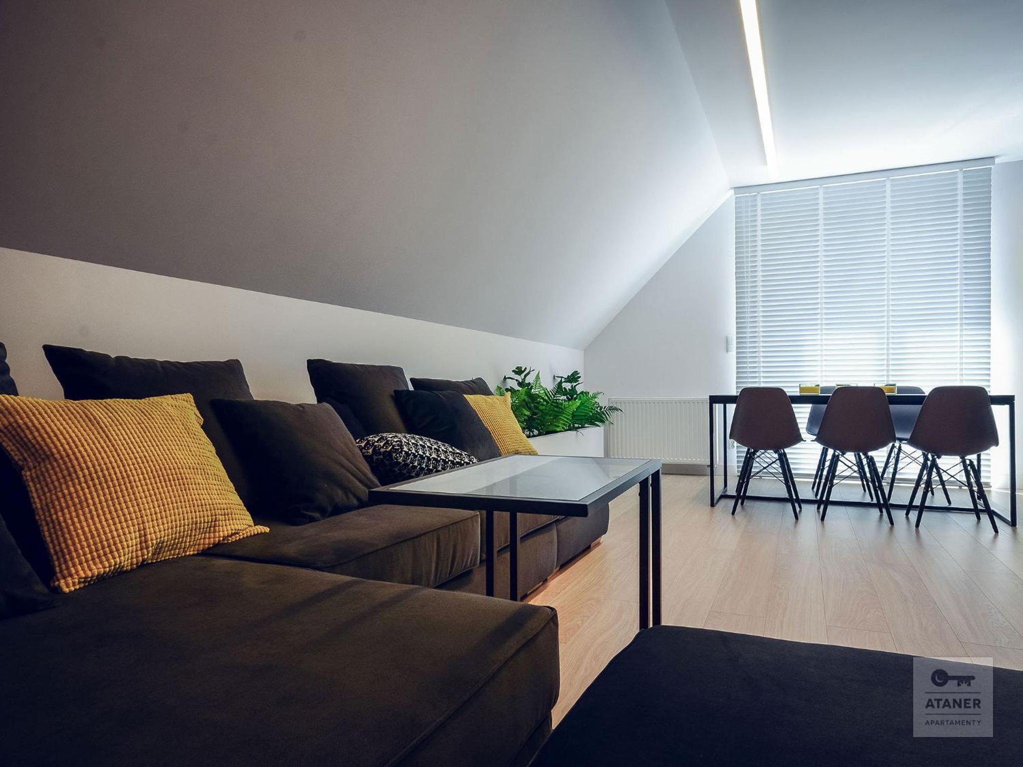 Duplex Apartment photo 2