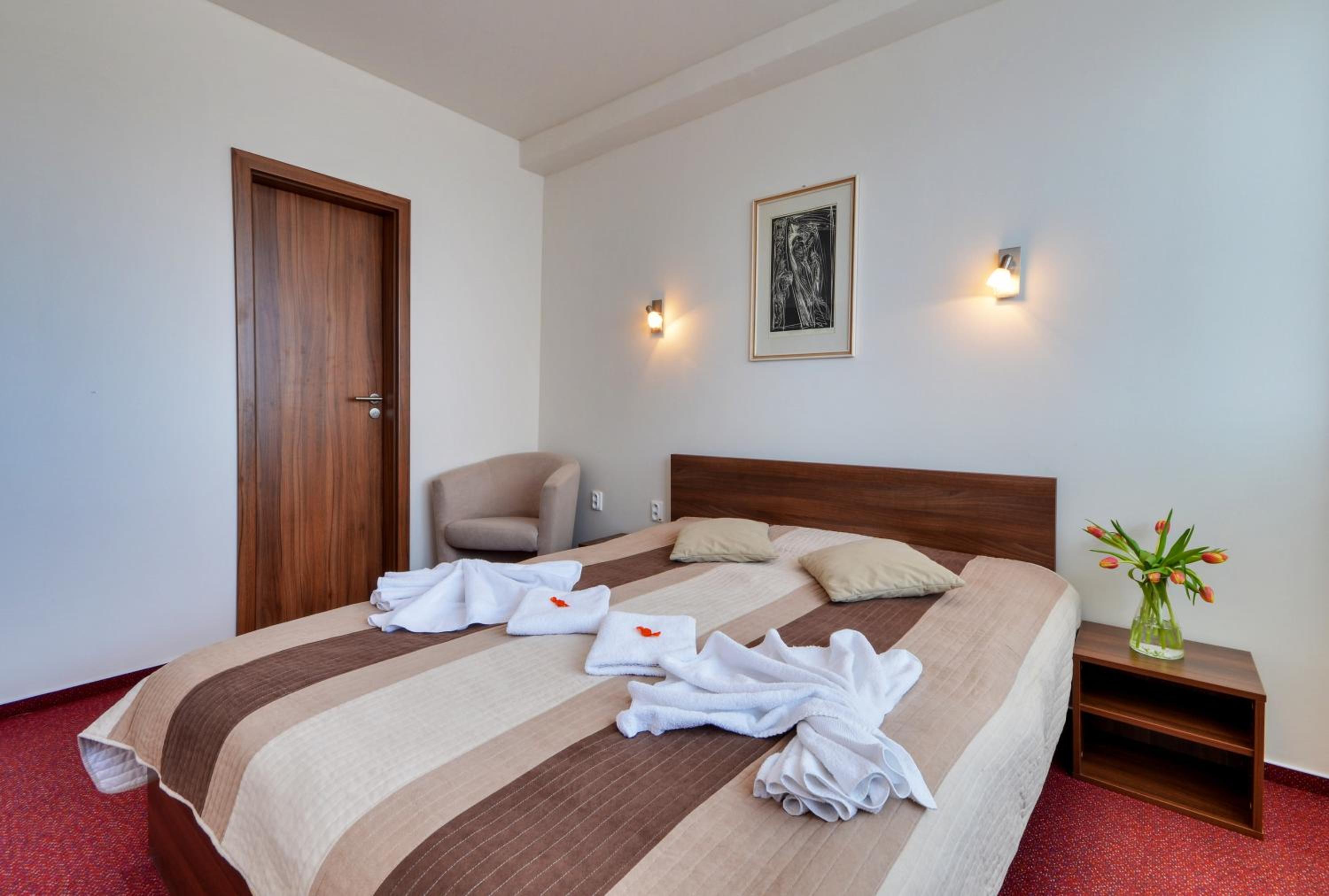 Suite - Photo 1