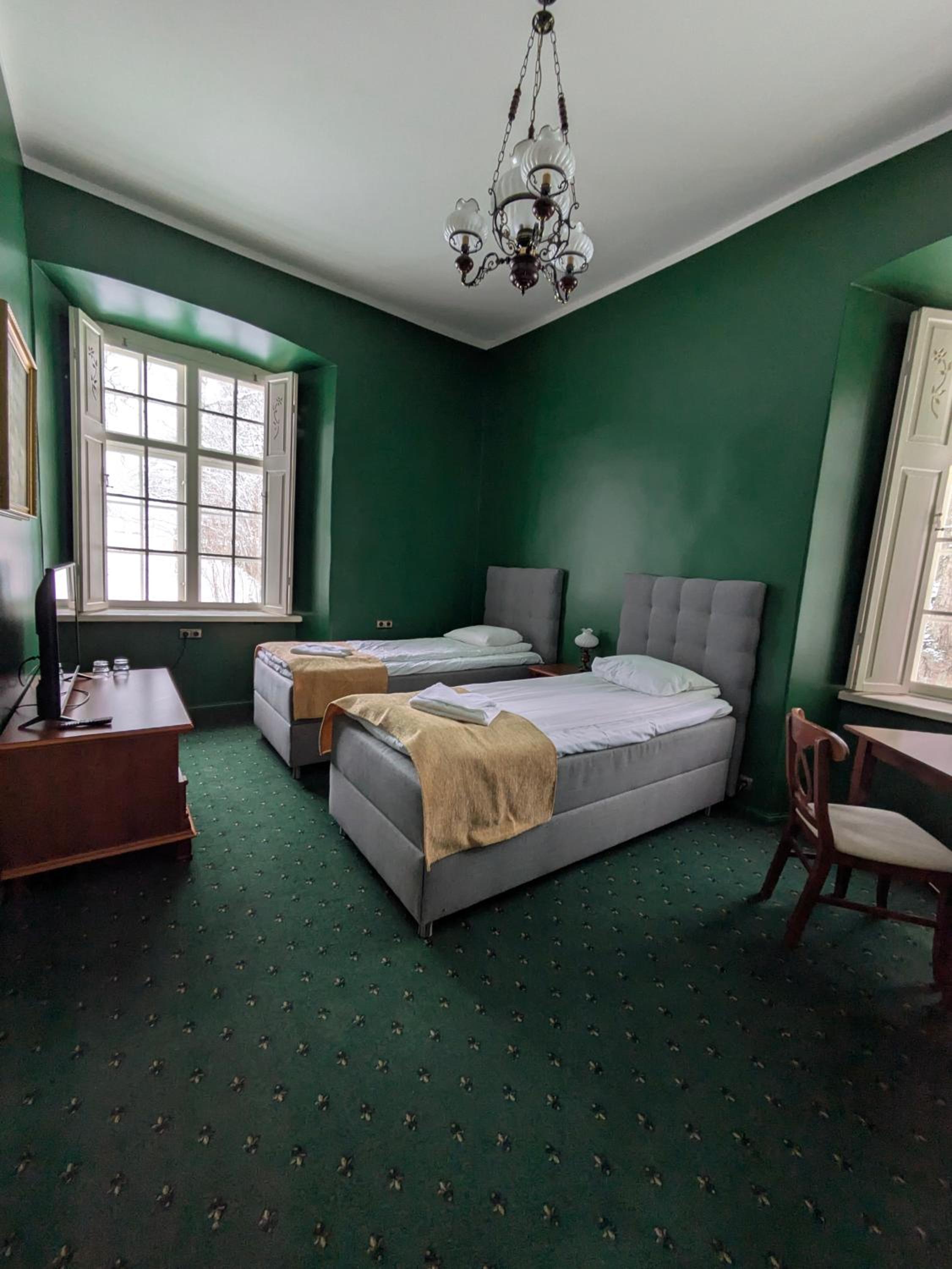 Deluxe Twin Room photo 1
