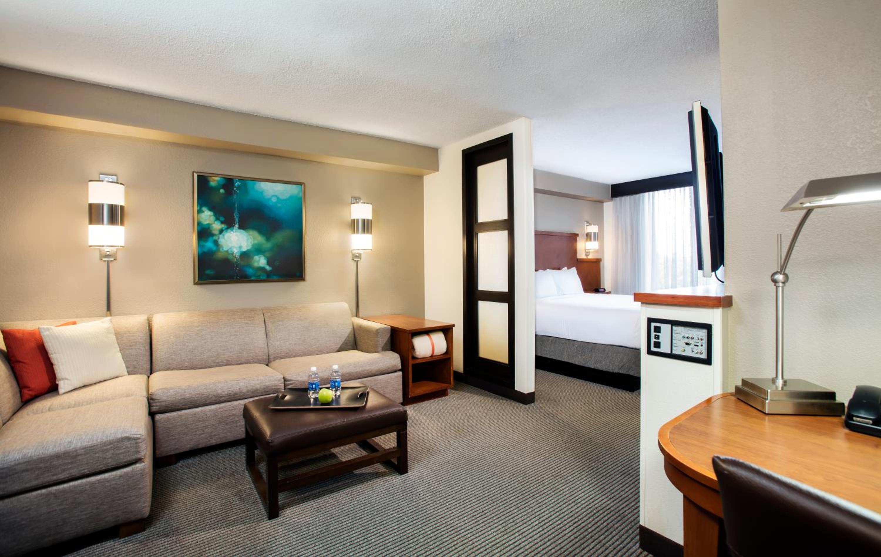 Specialty King Room with Sofa Bed - Photo 7
