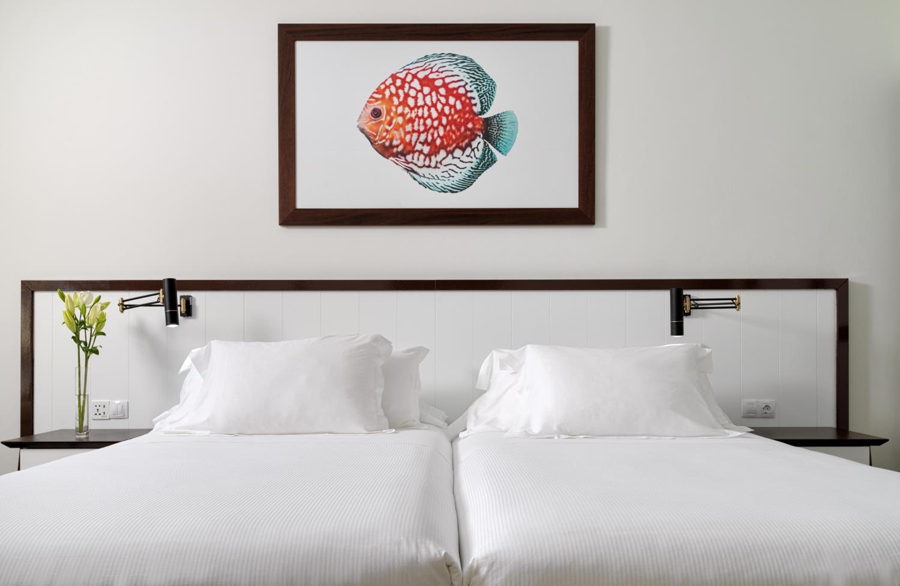 Double or Twin Room (1 Adult) - Photo 3