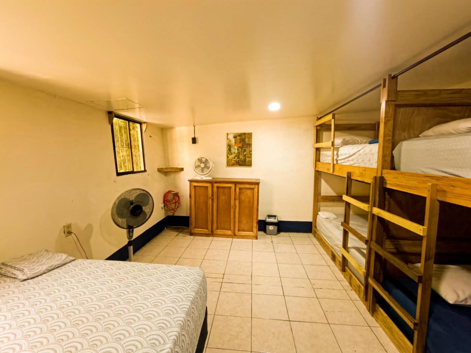 Bunk Bed in Mixed Dormitory Room photo 1