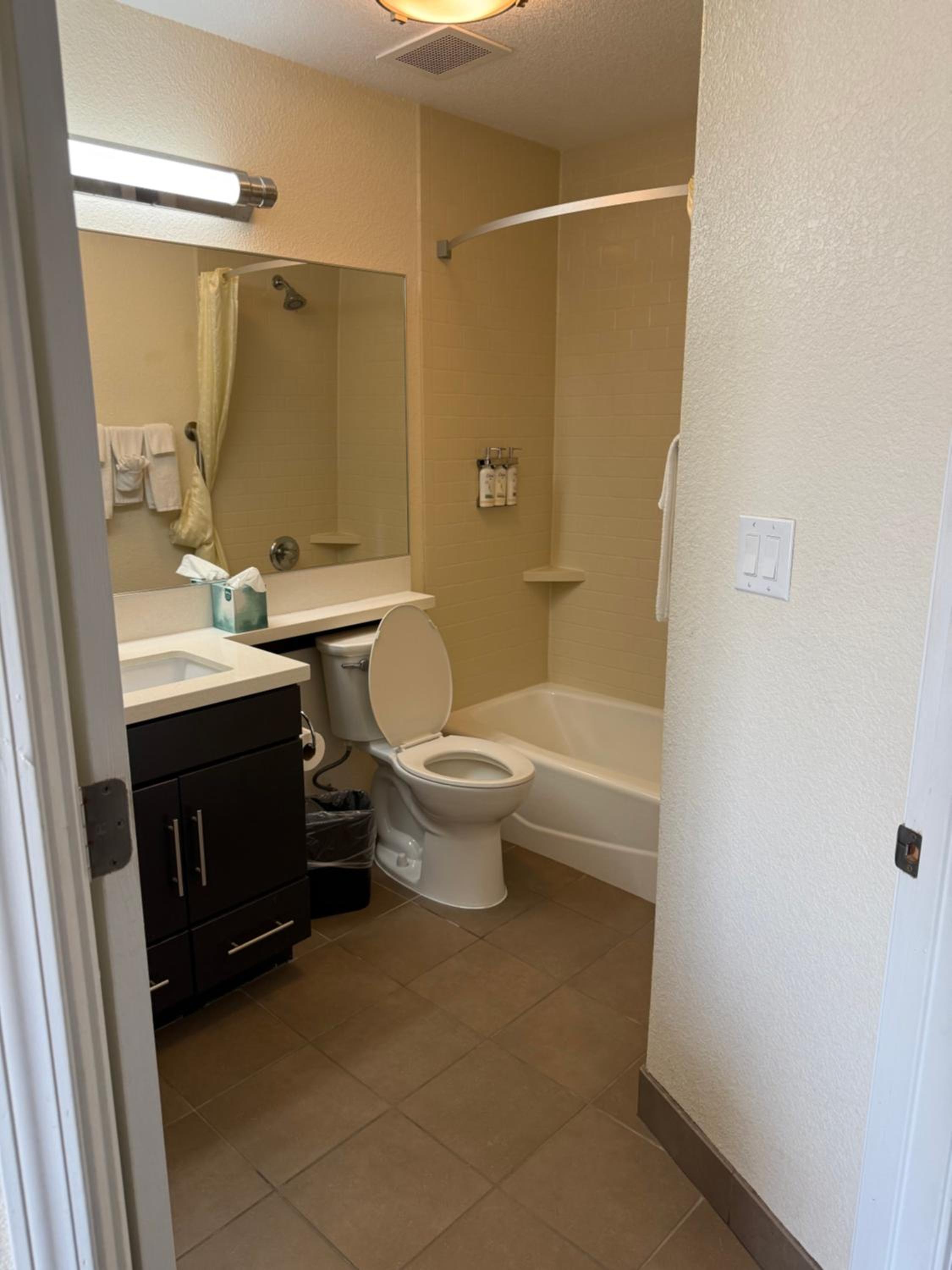 Studio Suite with Two Queen Beds photo 2