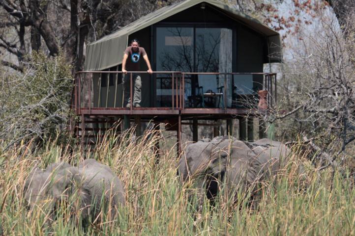 Double or Twin Tent photo 3
