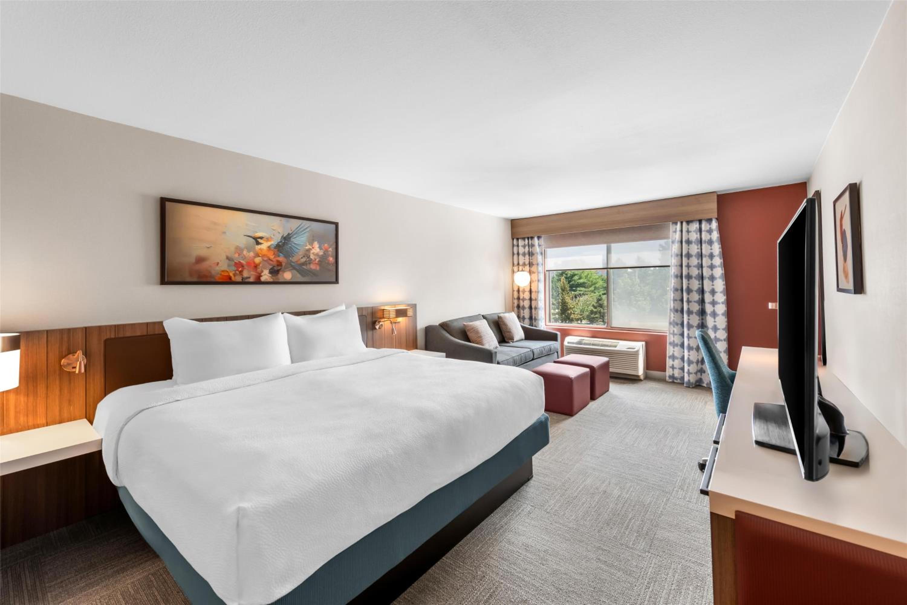 Premium King Room - Photo 3
