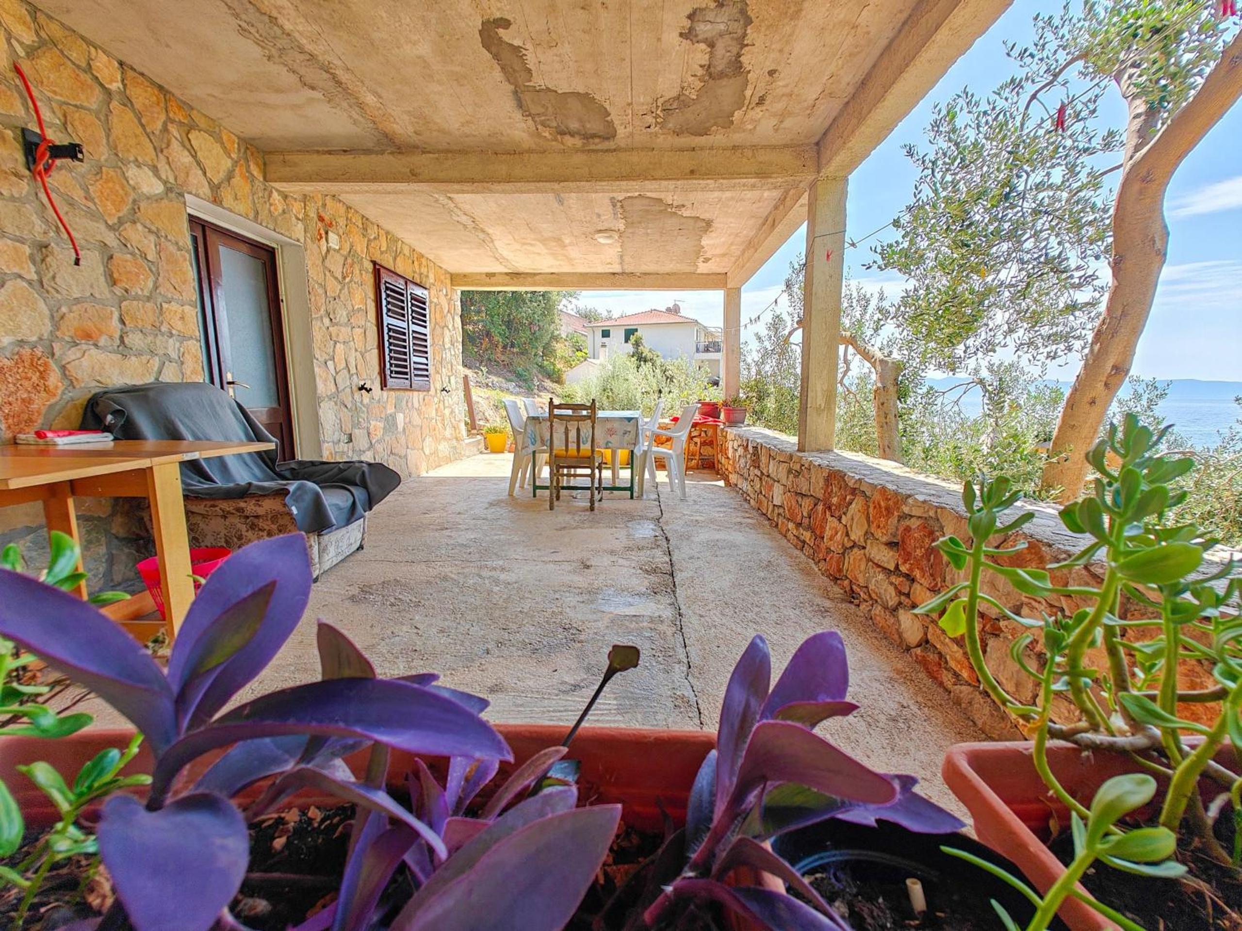 Studio with Terrace photo 1