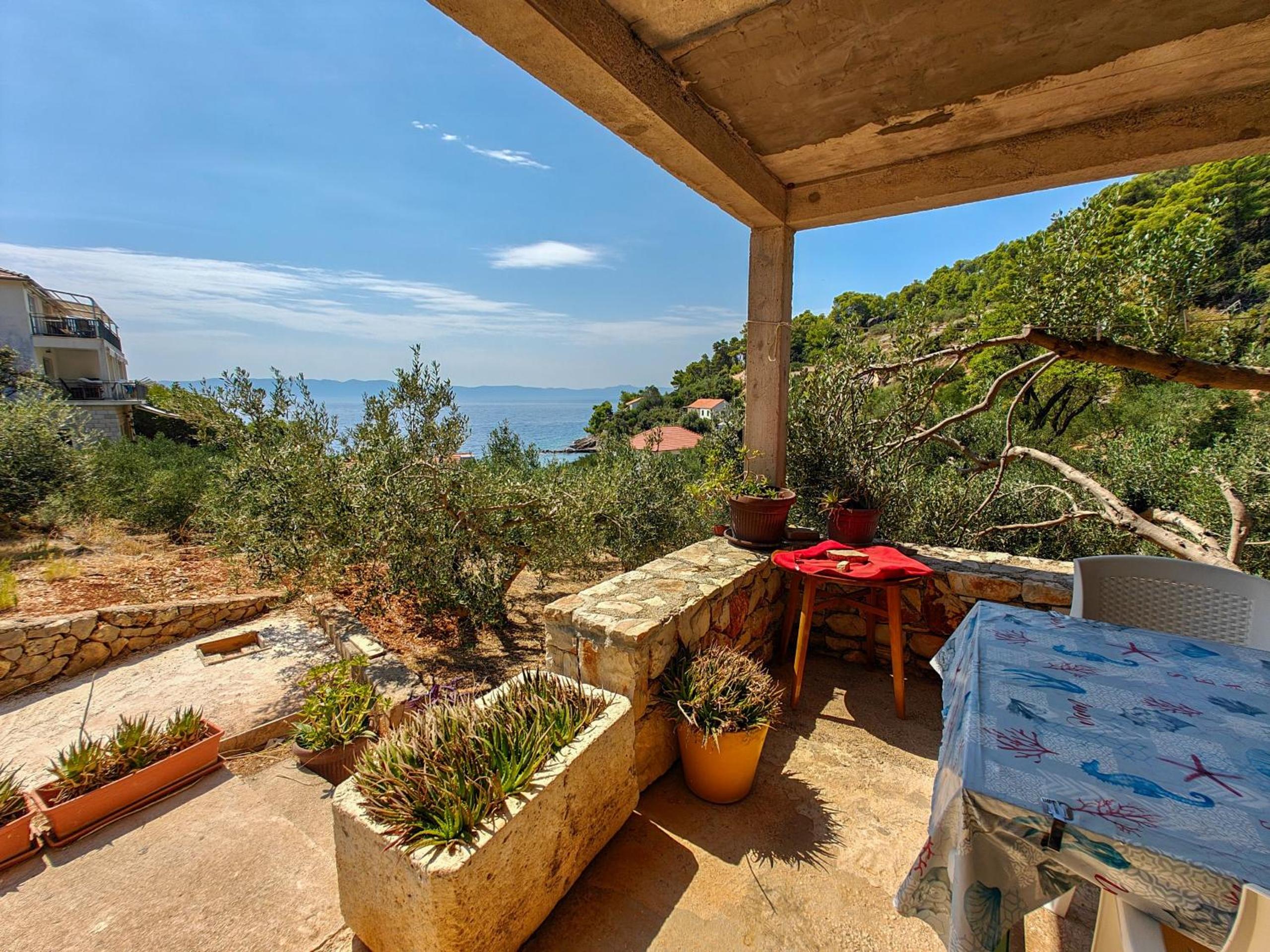 Studio with Terrace photo 2