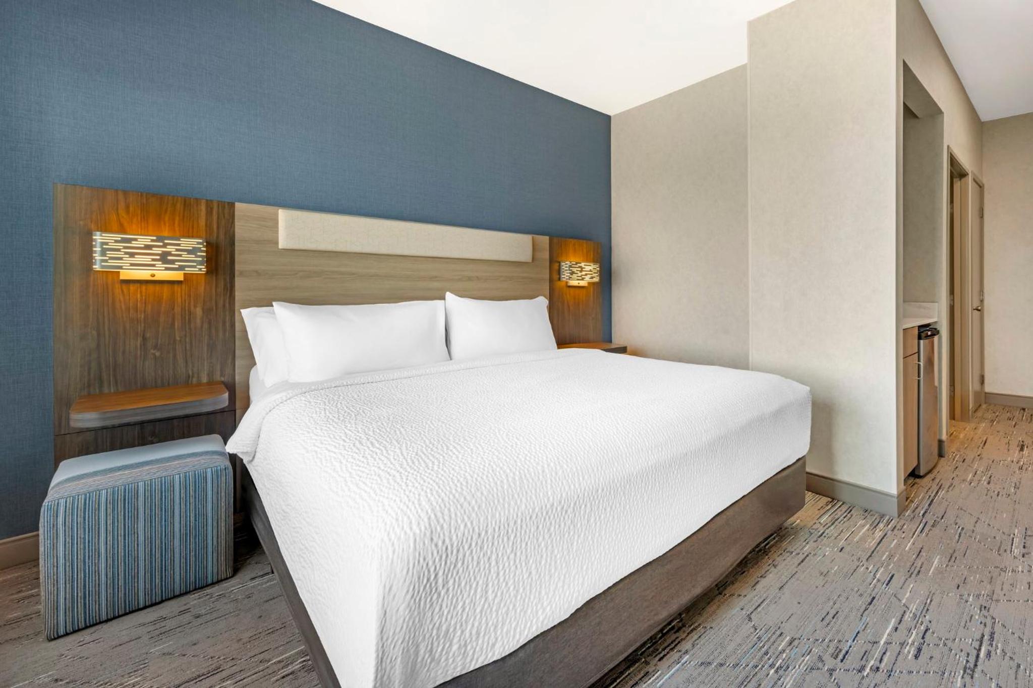 King Suite with Sofa Bed - Photo 1