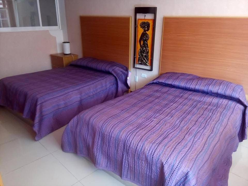 Twin Room photo 1