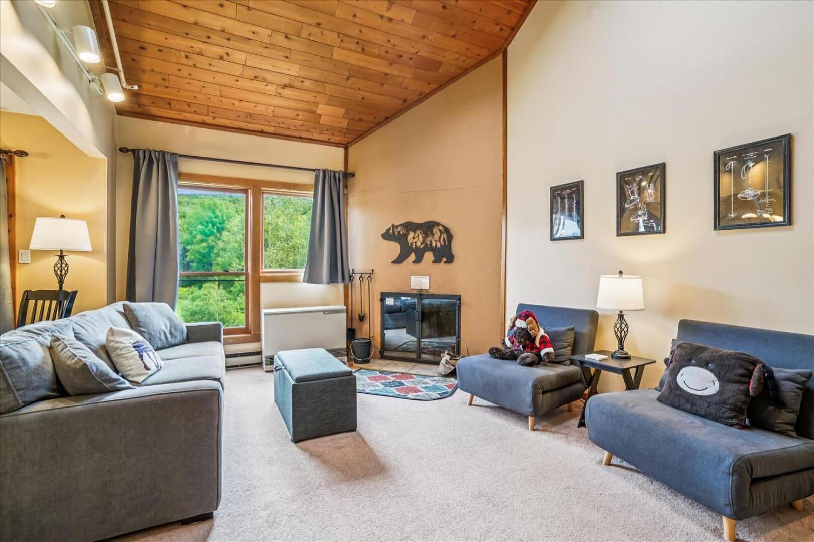 Vacation Home photo 3