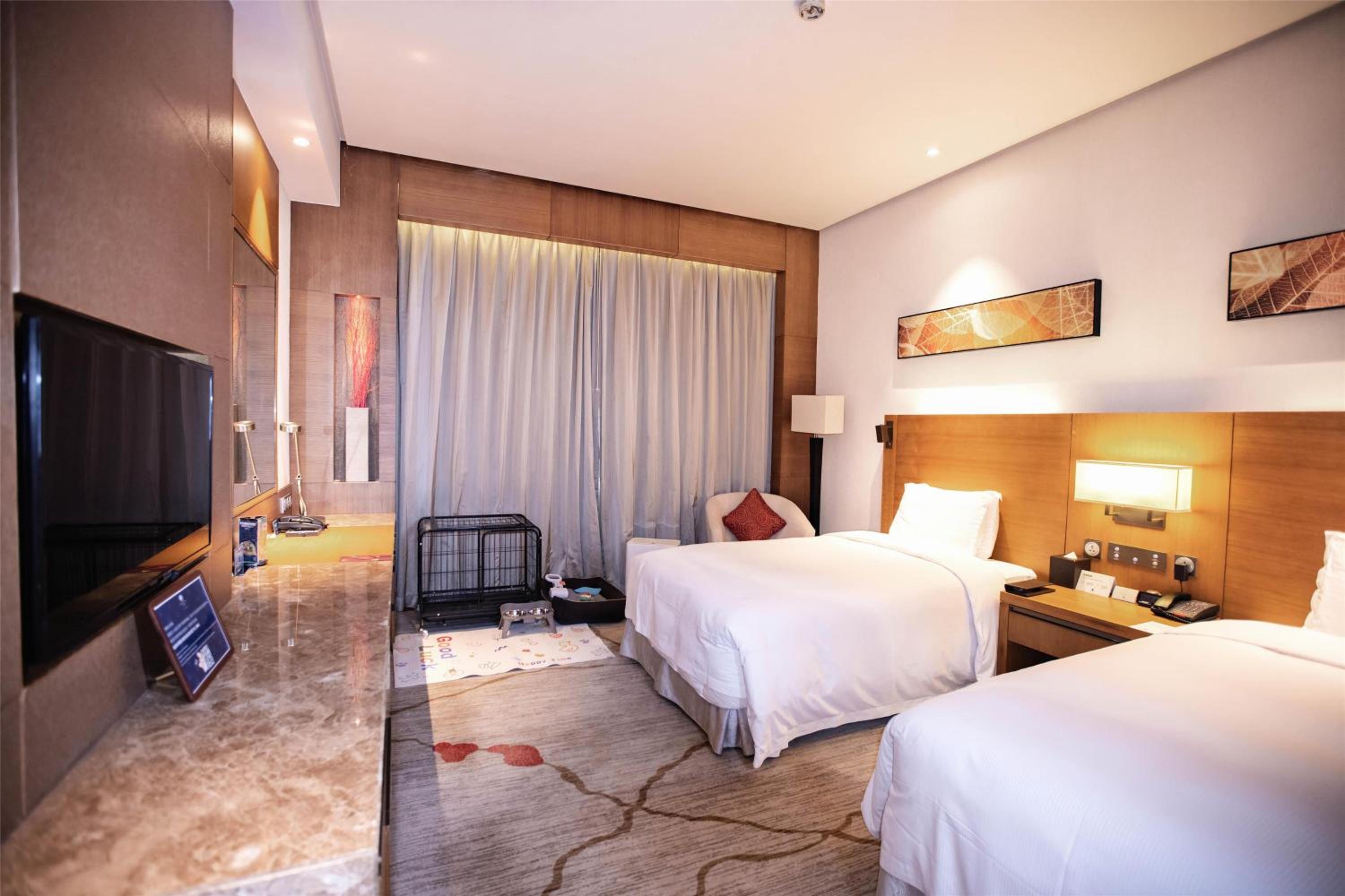 Twin Room - Pet Friendly