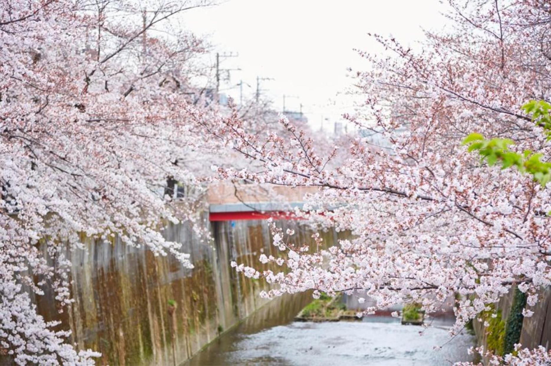 HANANOSATO板橋中丸町a, Foto 17