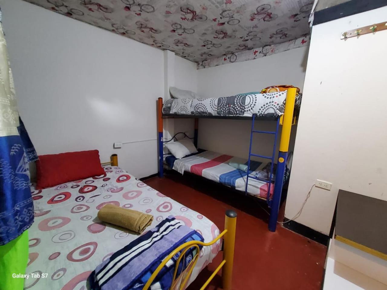 Bunk Bed in Mixed Dormitory Room
