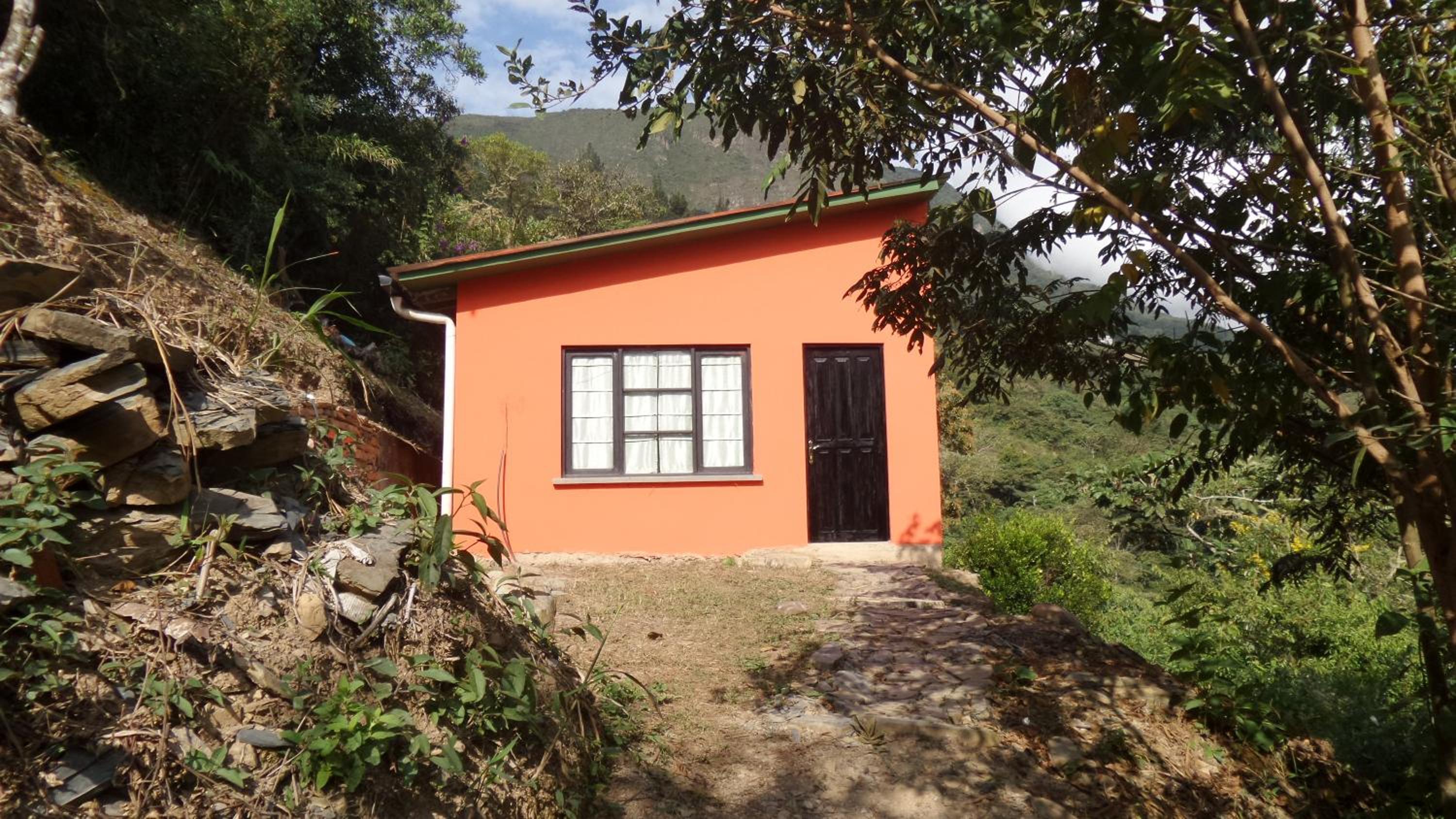 One-Bedroom House photo 3