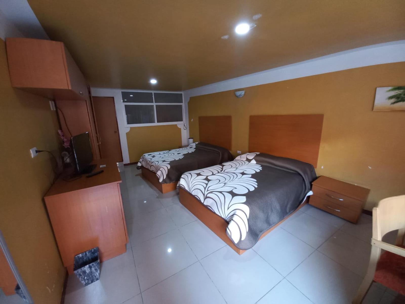 Twin Room photo 3