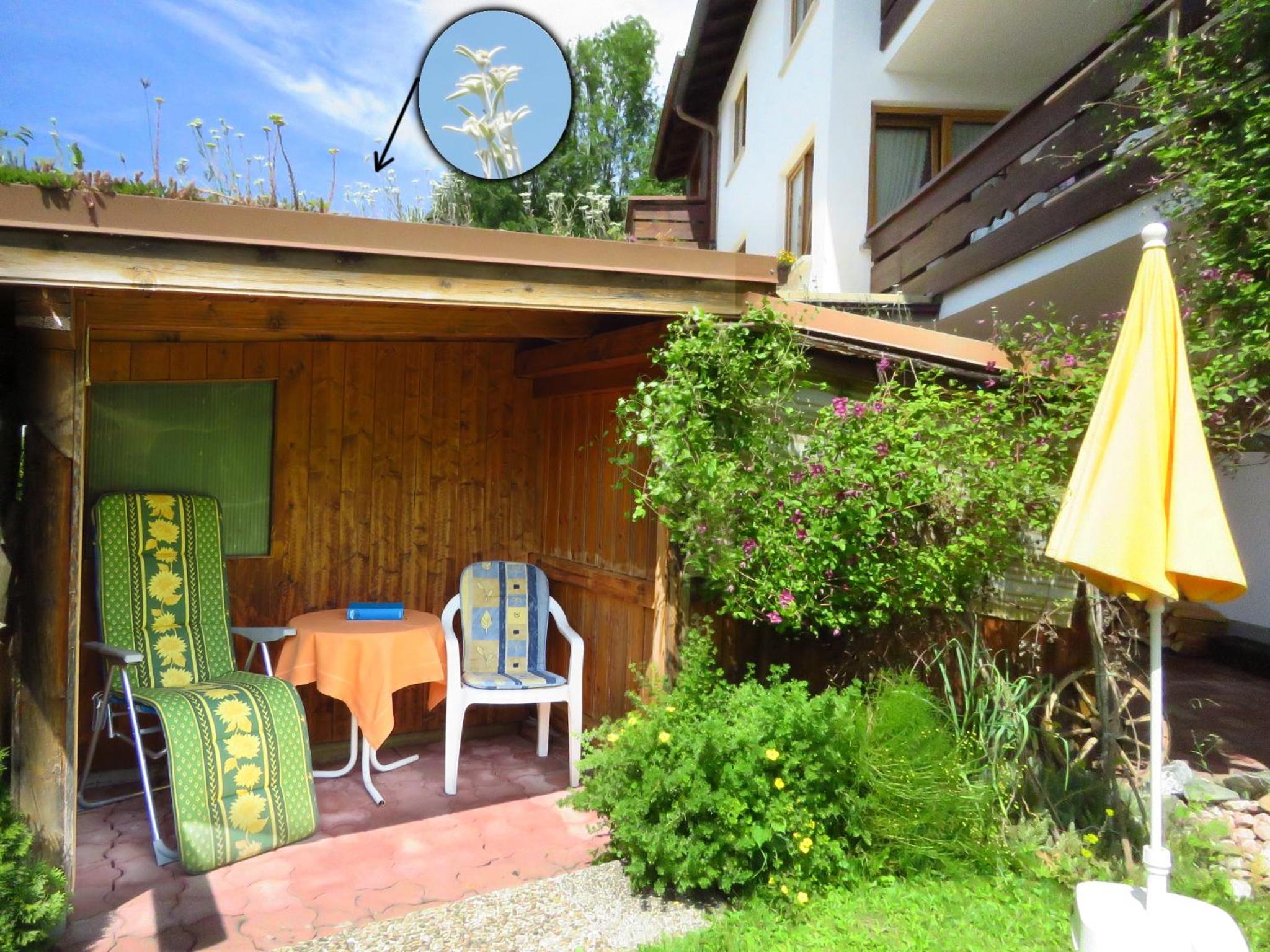 Apartment - Ground Floor photo 3